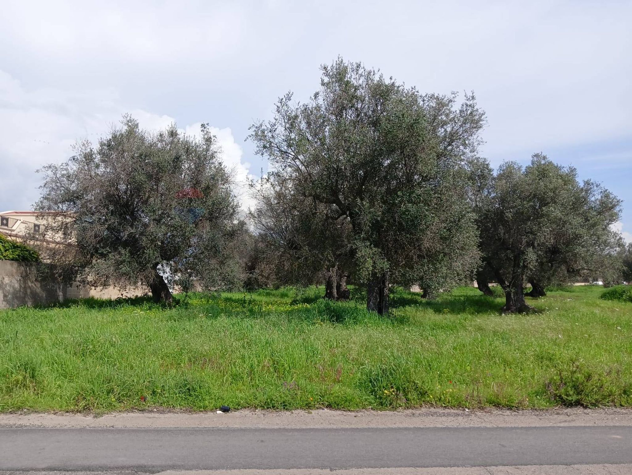 Immobile a Monteparano