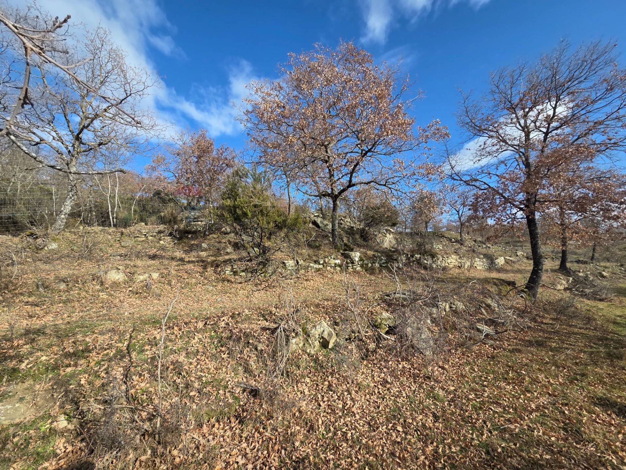 Vista delle montagne