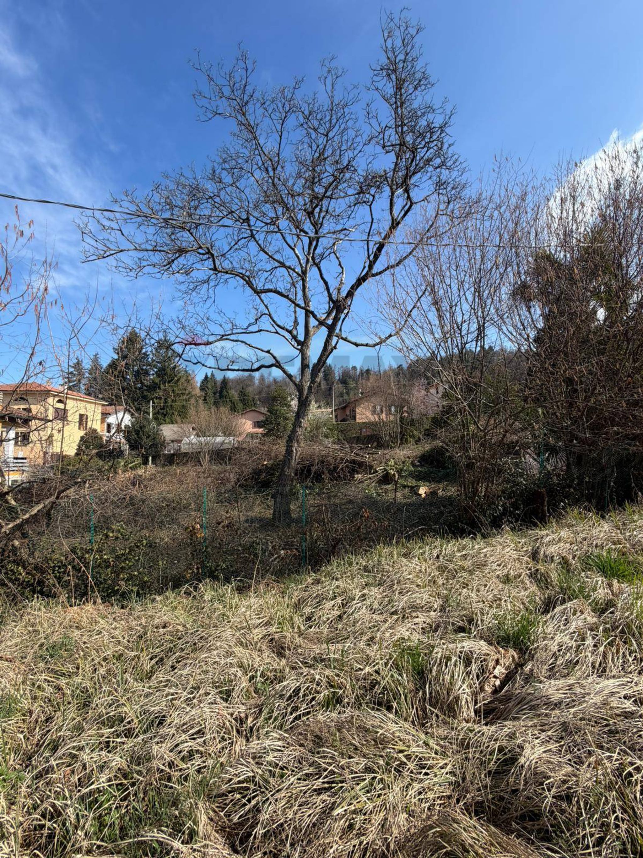 Vista delle montagne