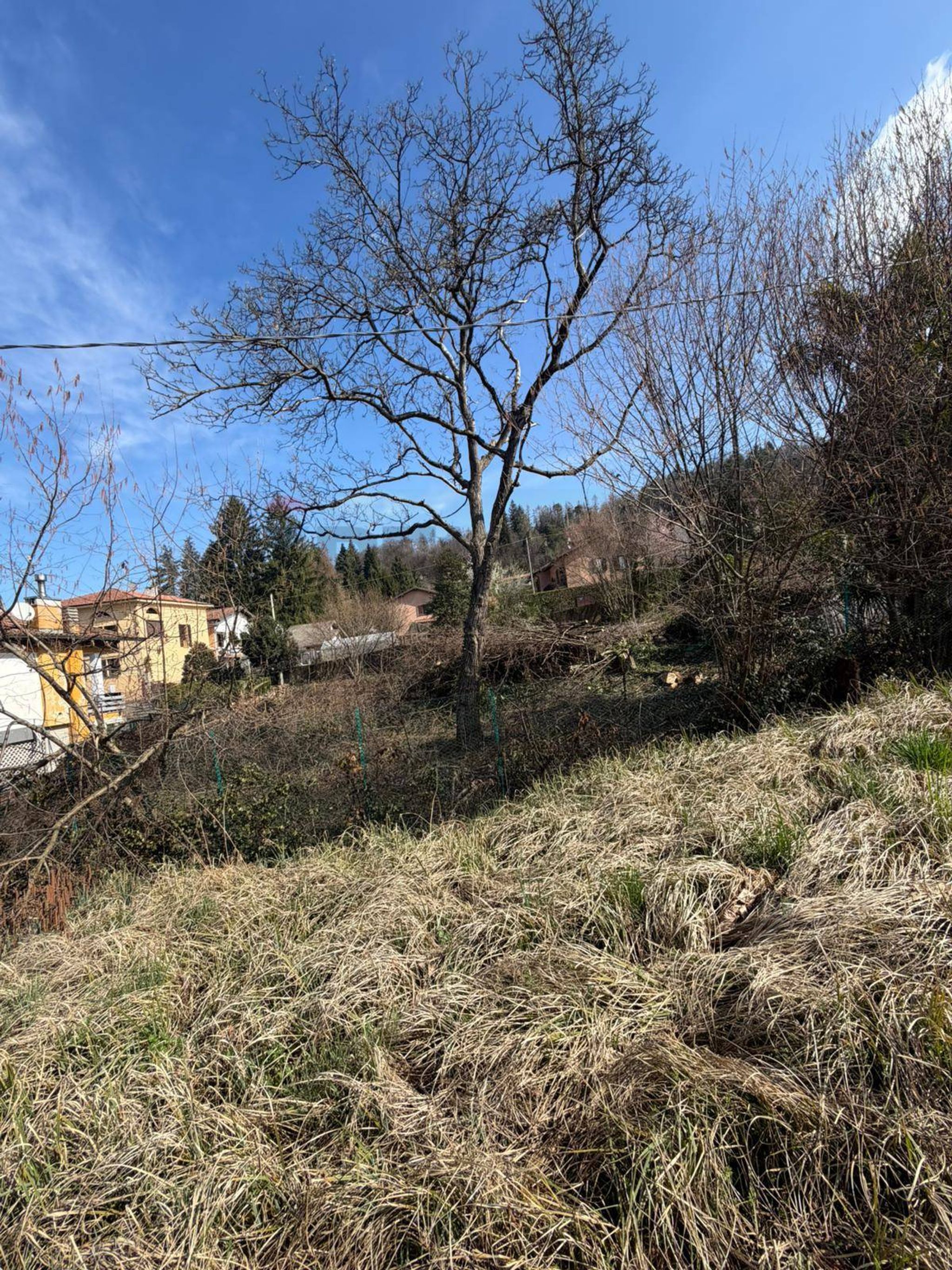 Vista delle montagne