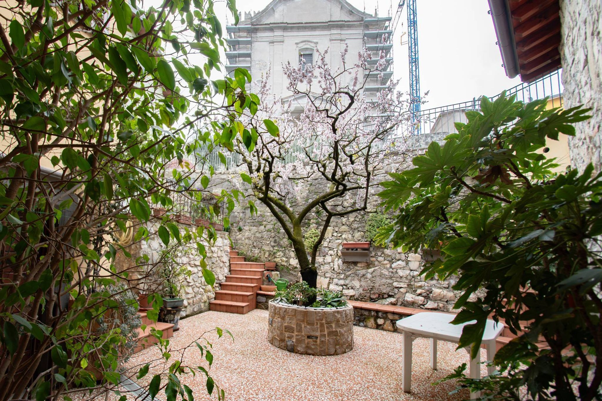 Giardino