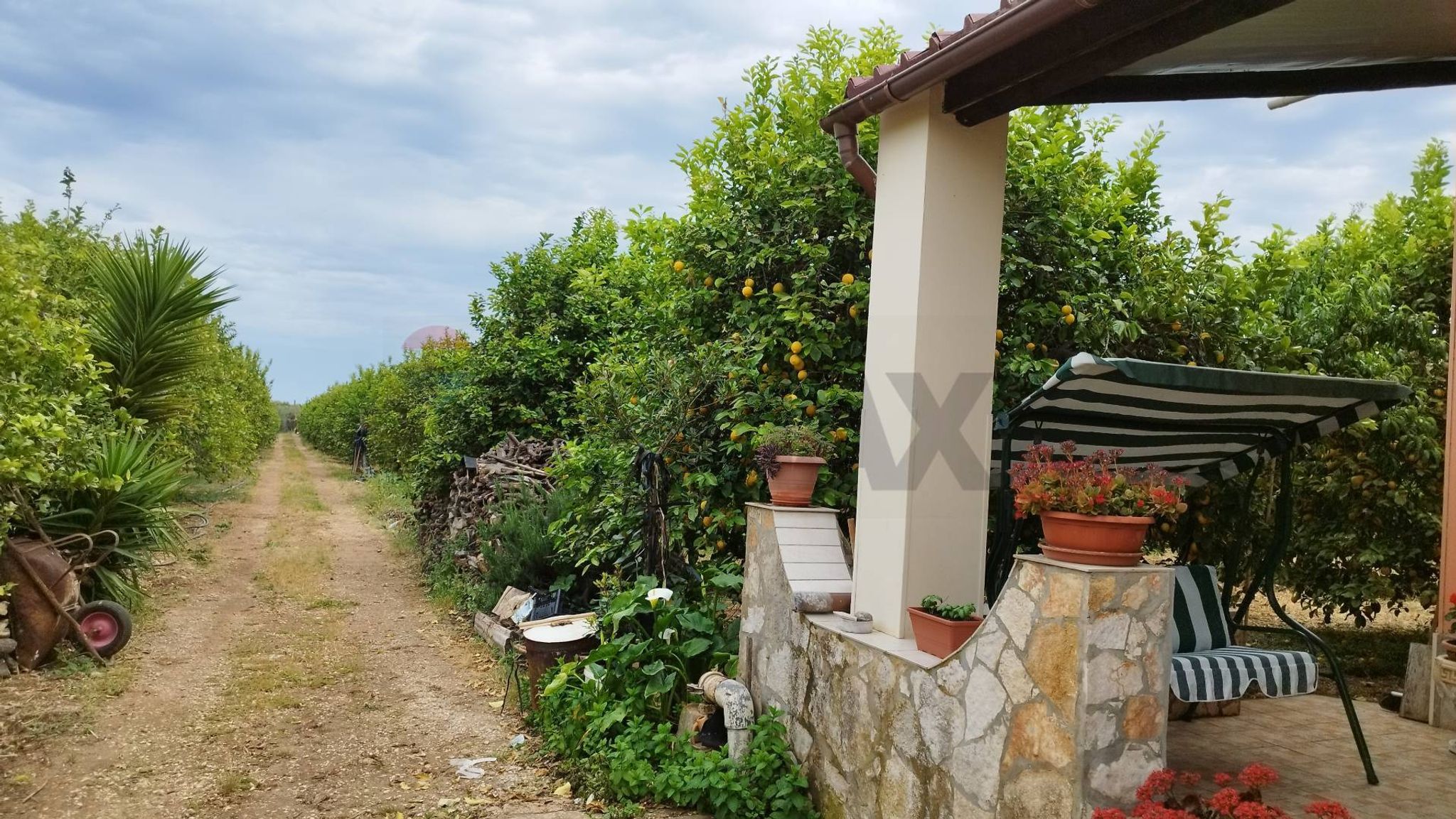 Giardino