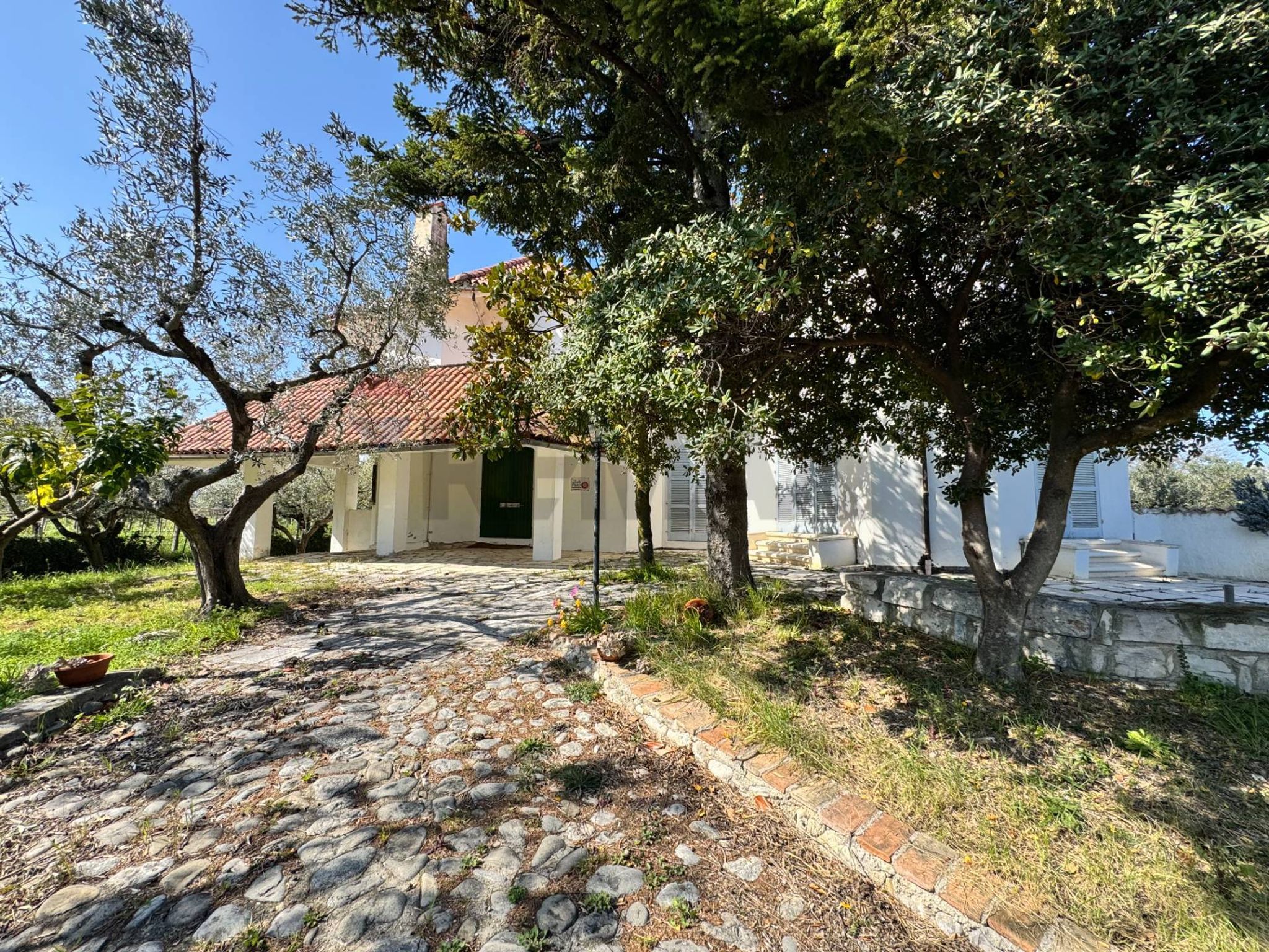Giardino