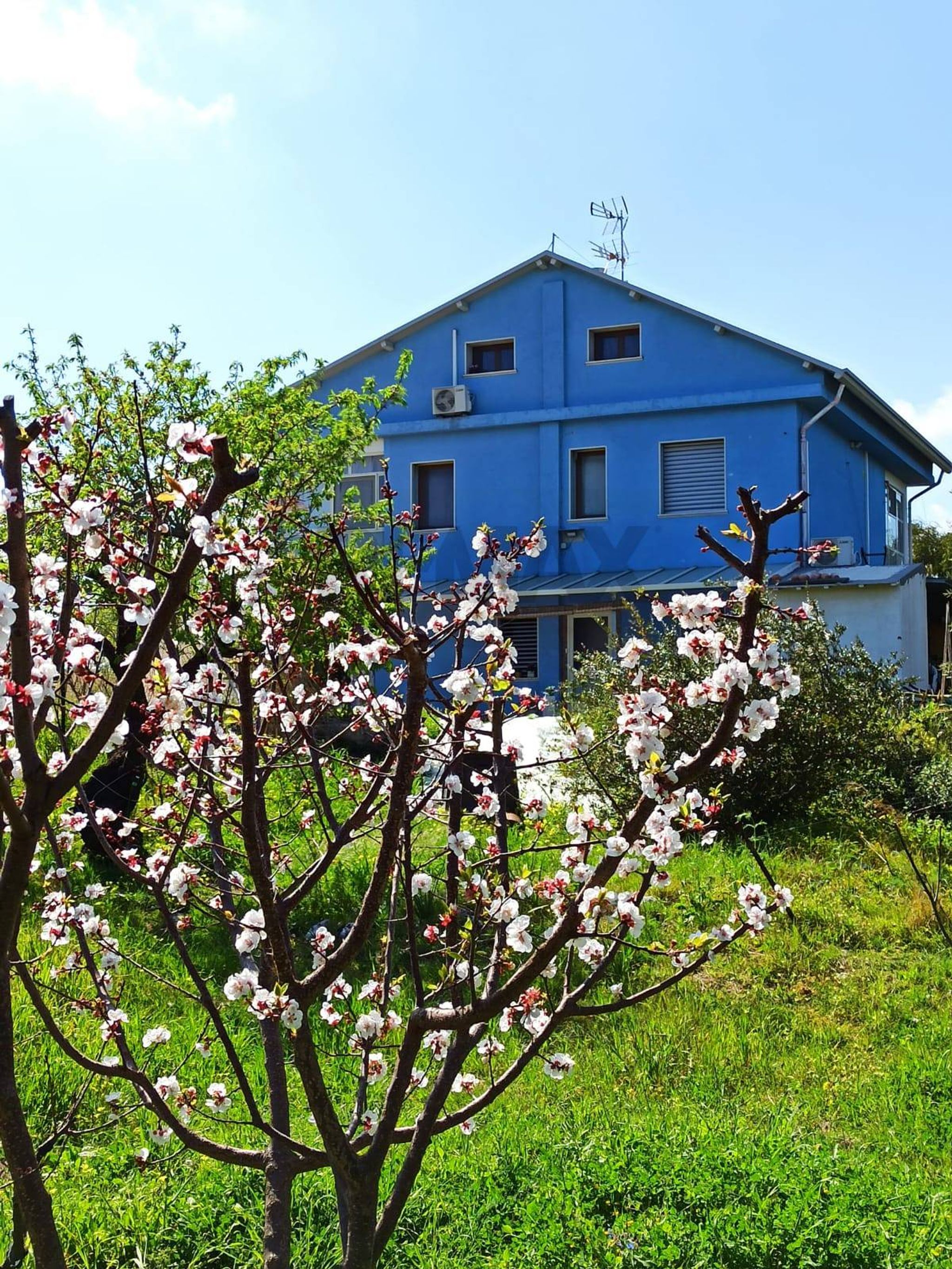 Property in Melilli