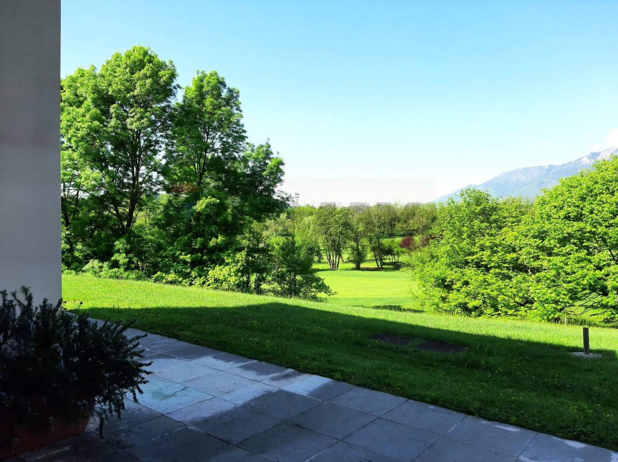 Giardino