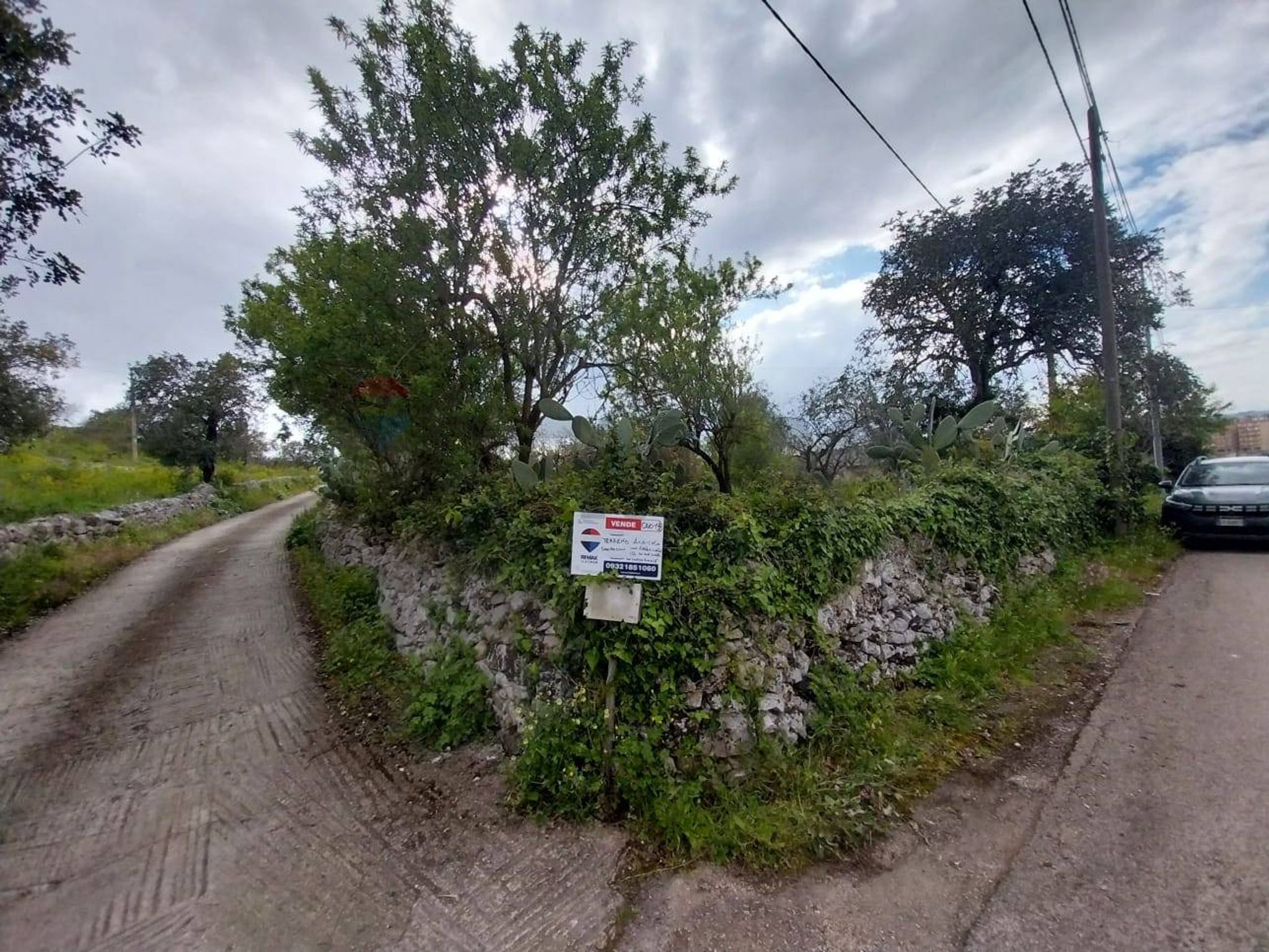Giardino