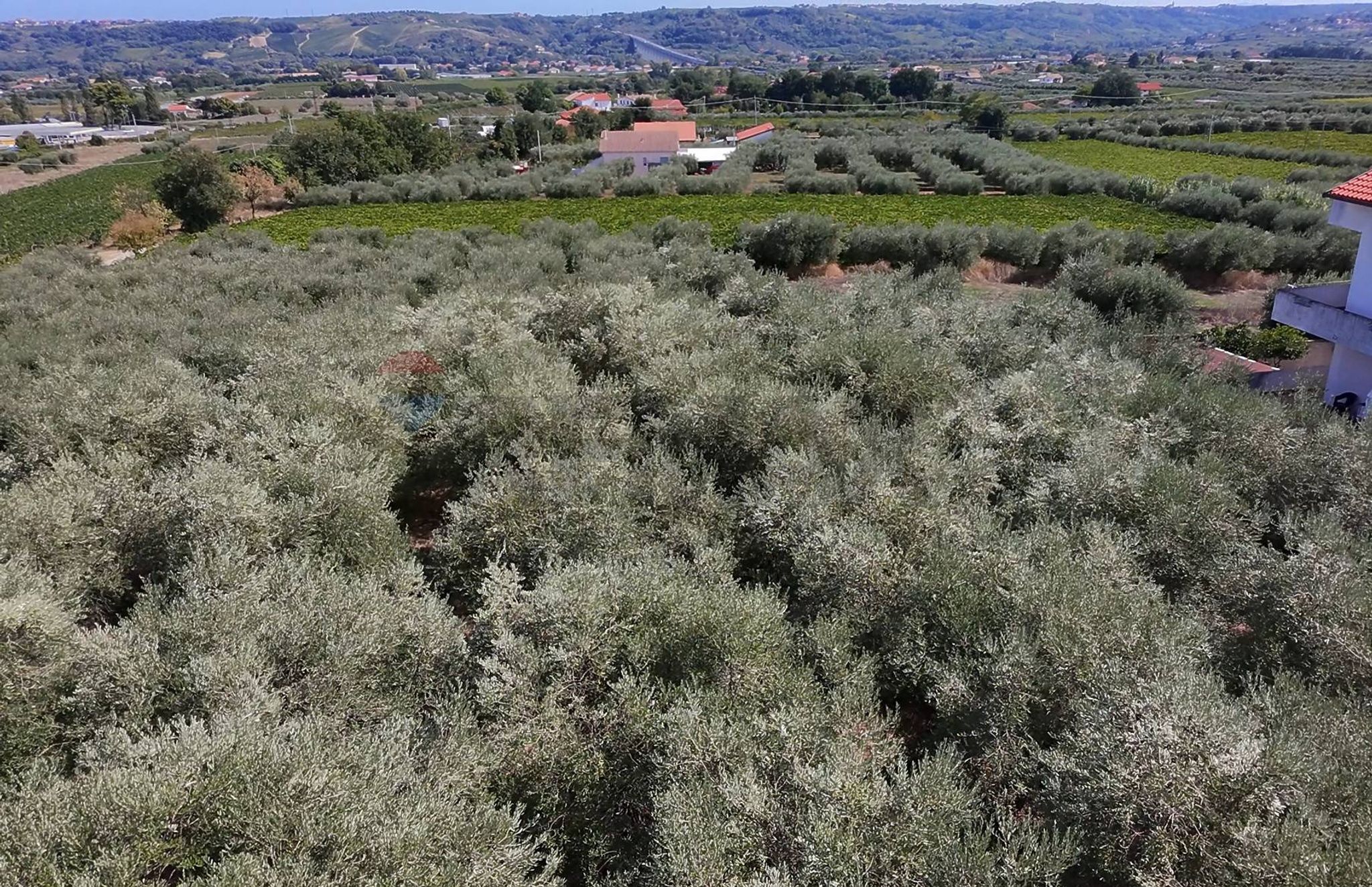 Vista delle montagne