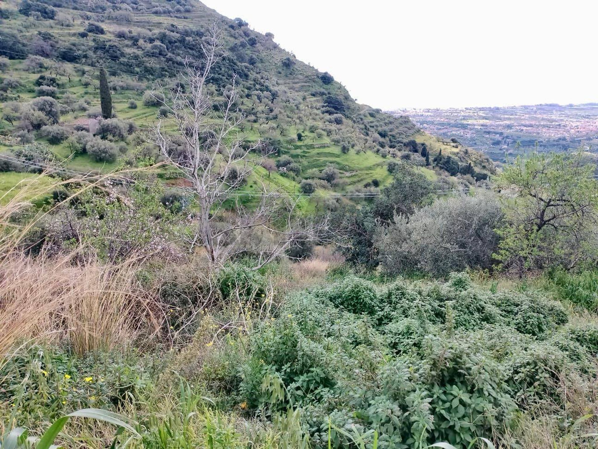 Vista delle montagne