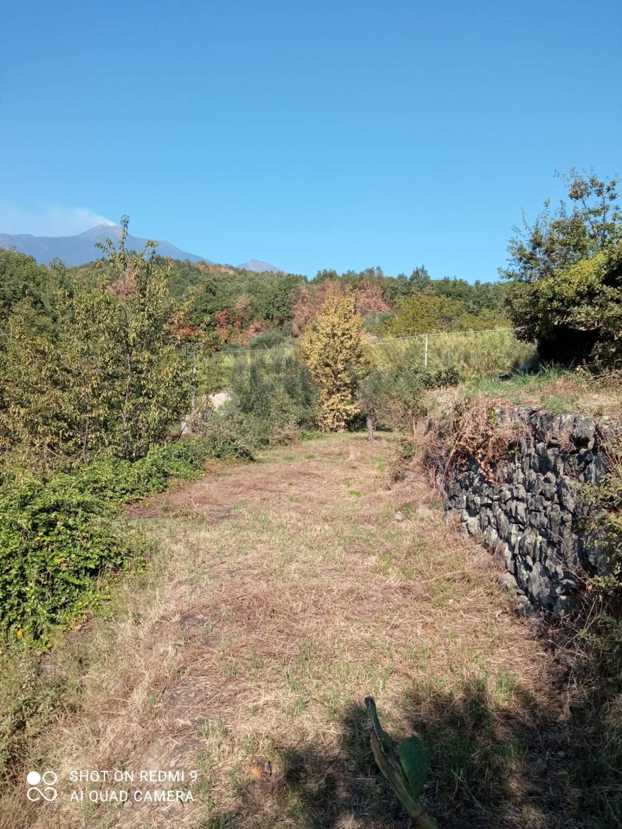 Immobile a Giarre