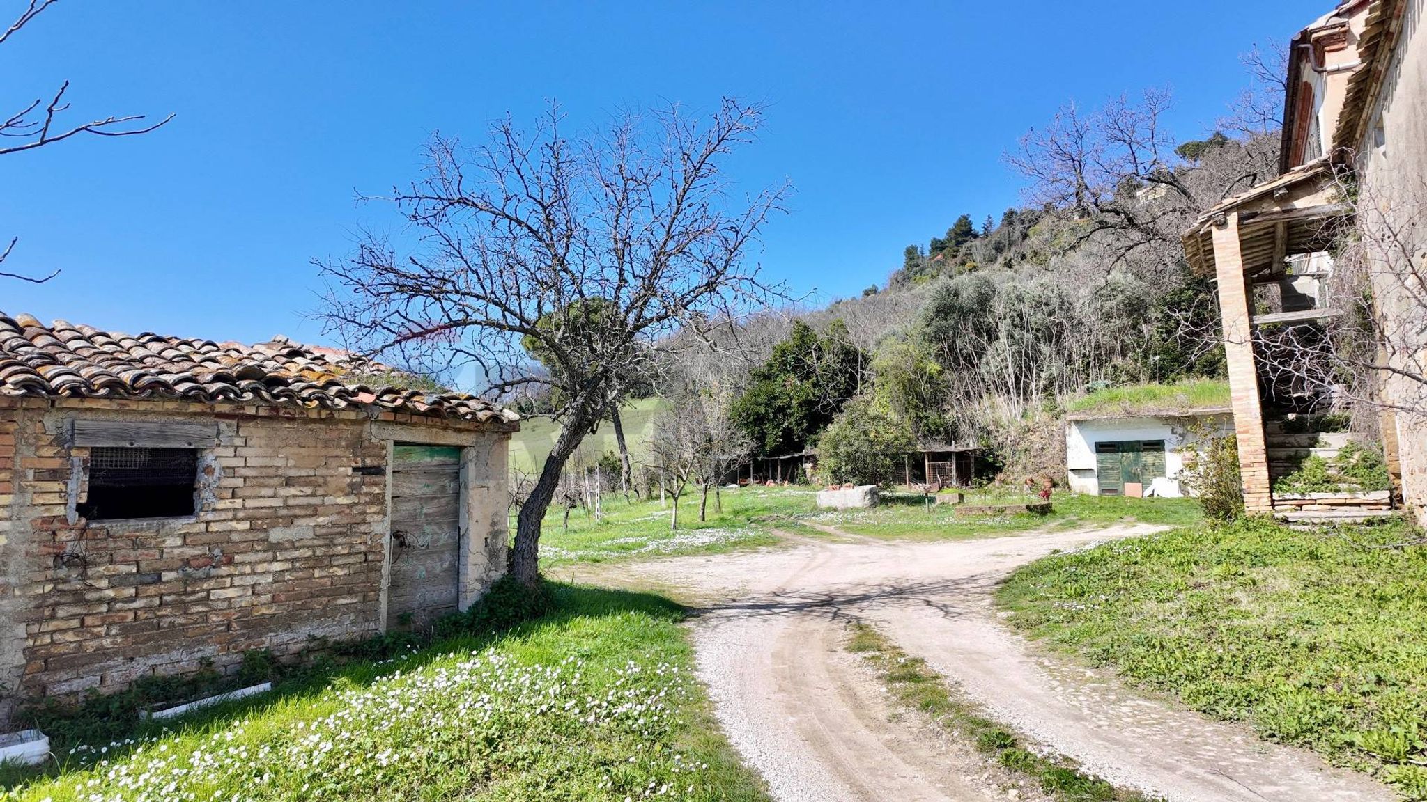 Giardino