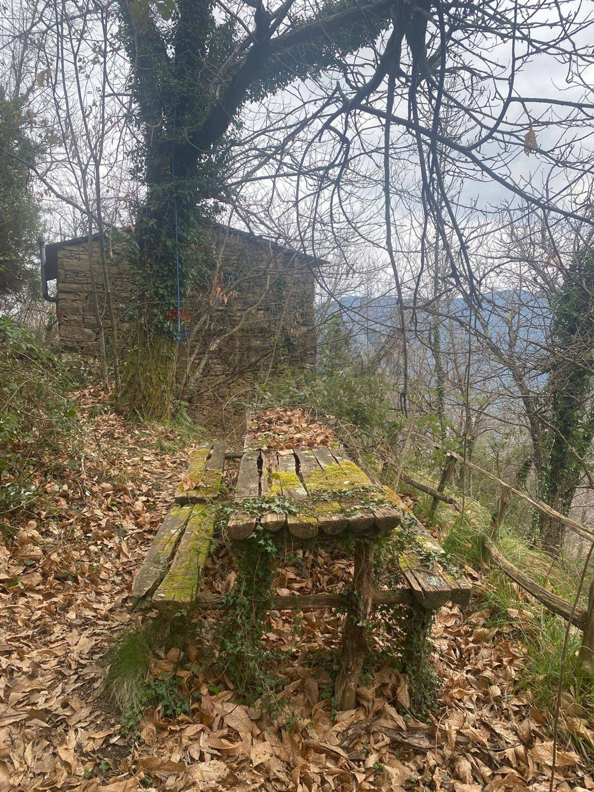 Giardino