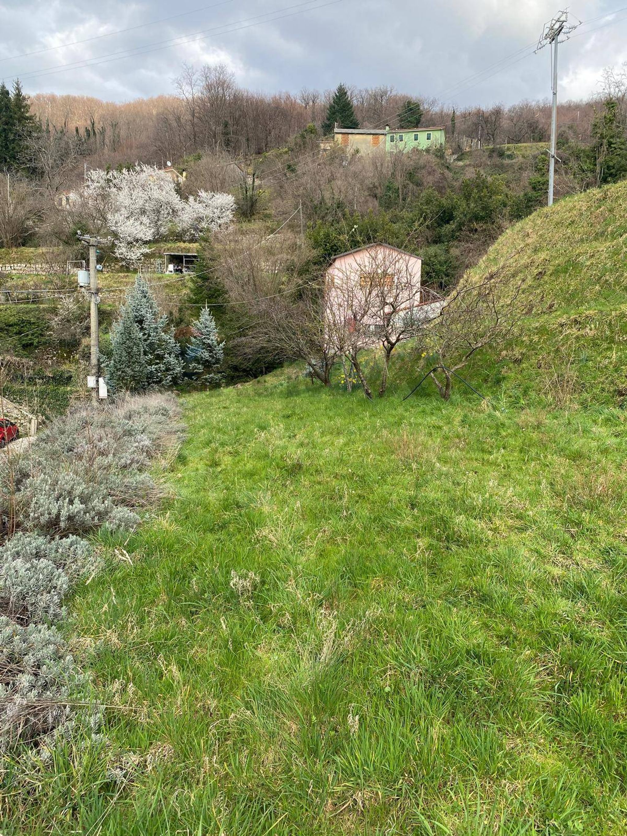 Giardino