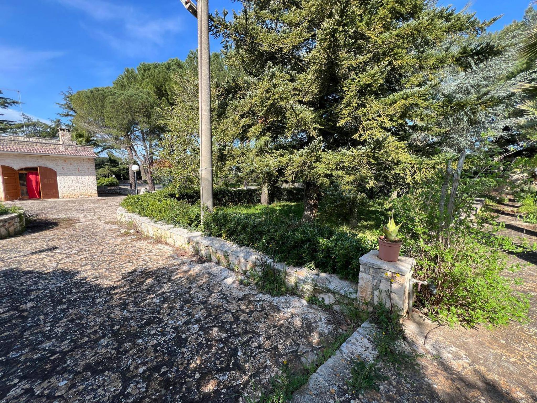 Giardino