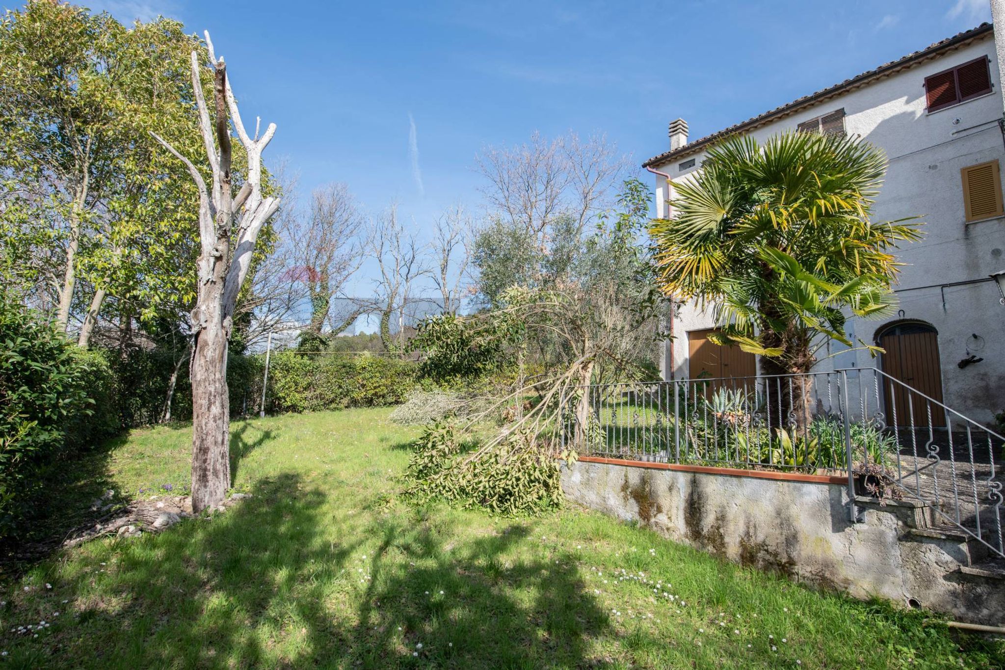 Giardino