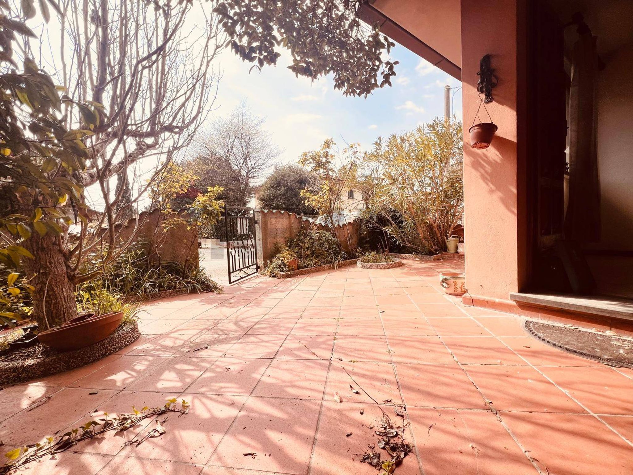 Property in Montescudaio