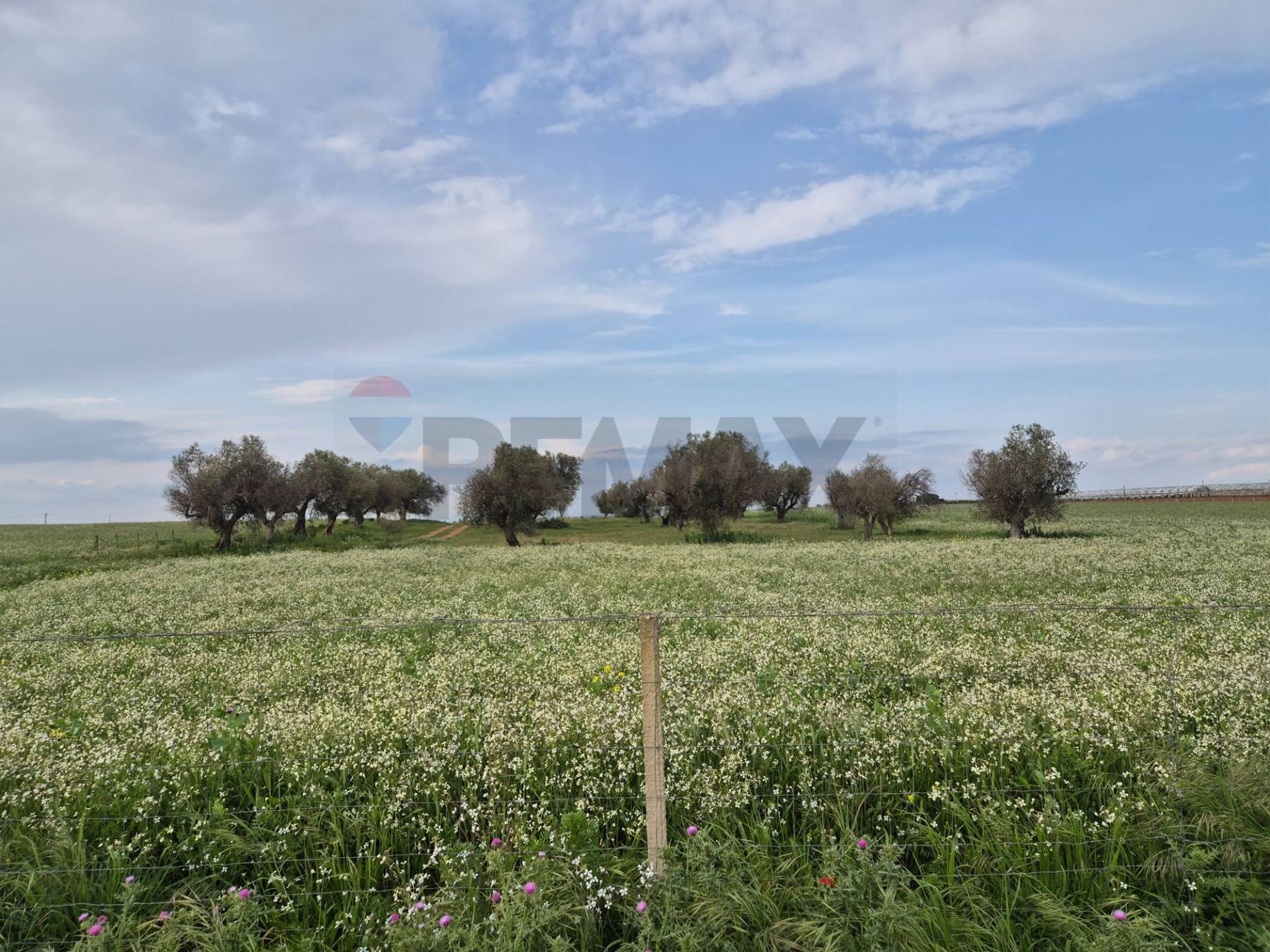 Property in Vittoria