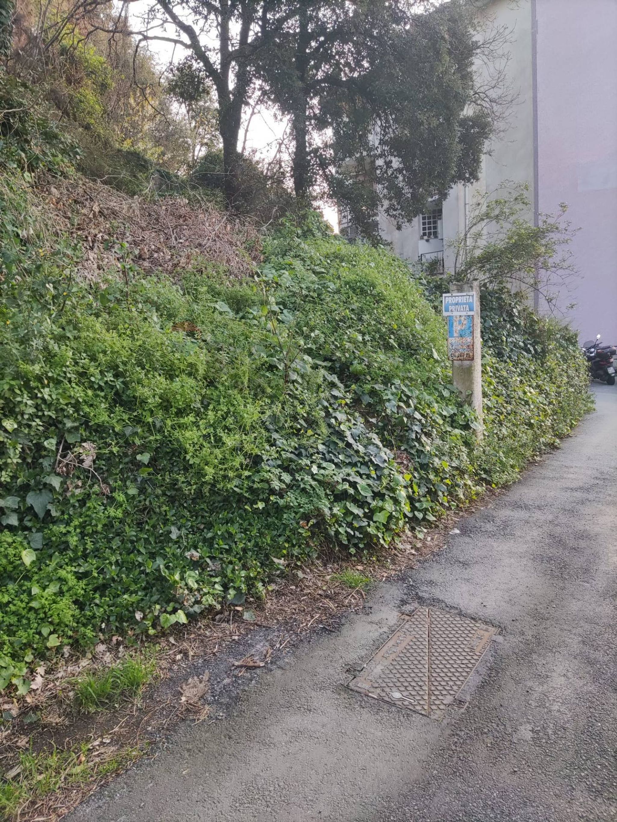 Giardino