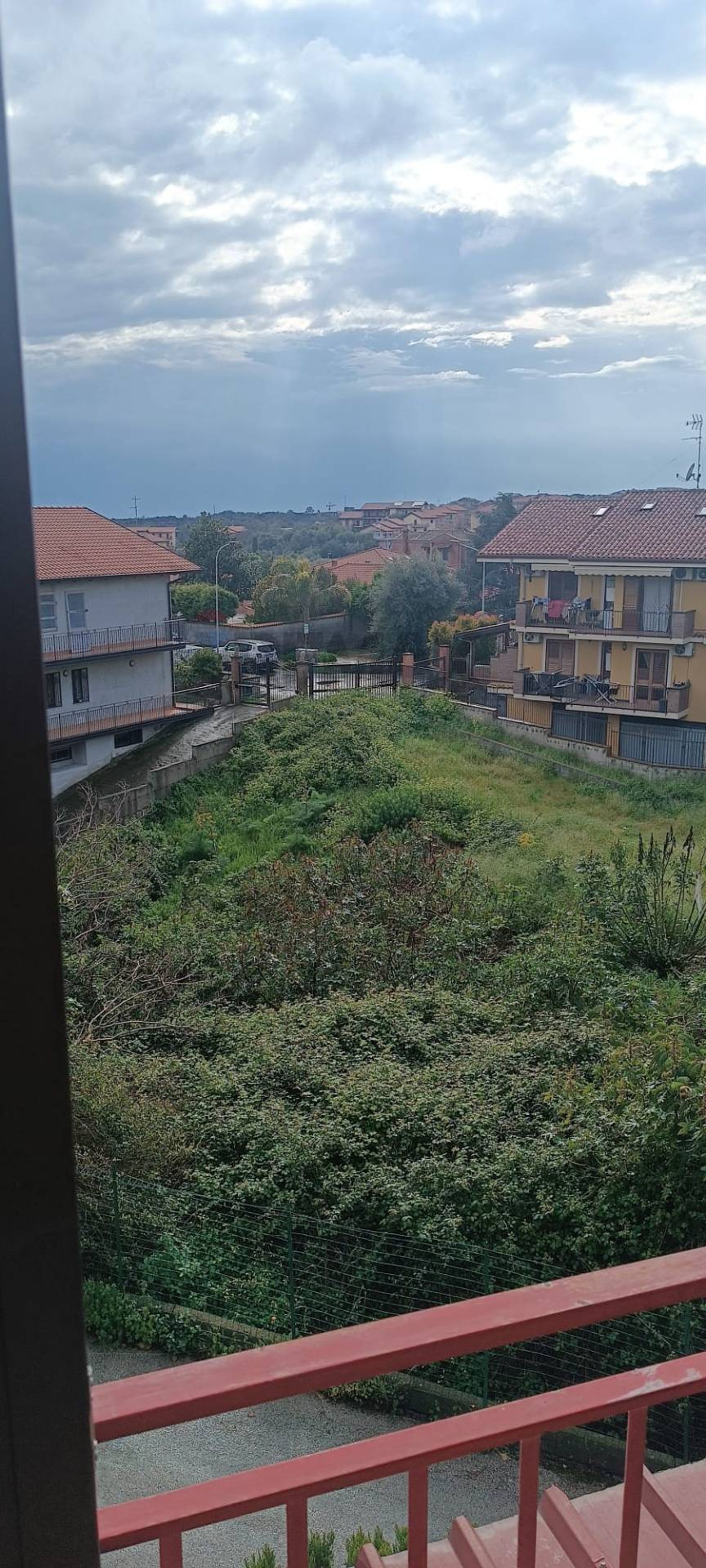 Non correlato