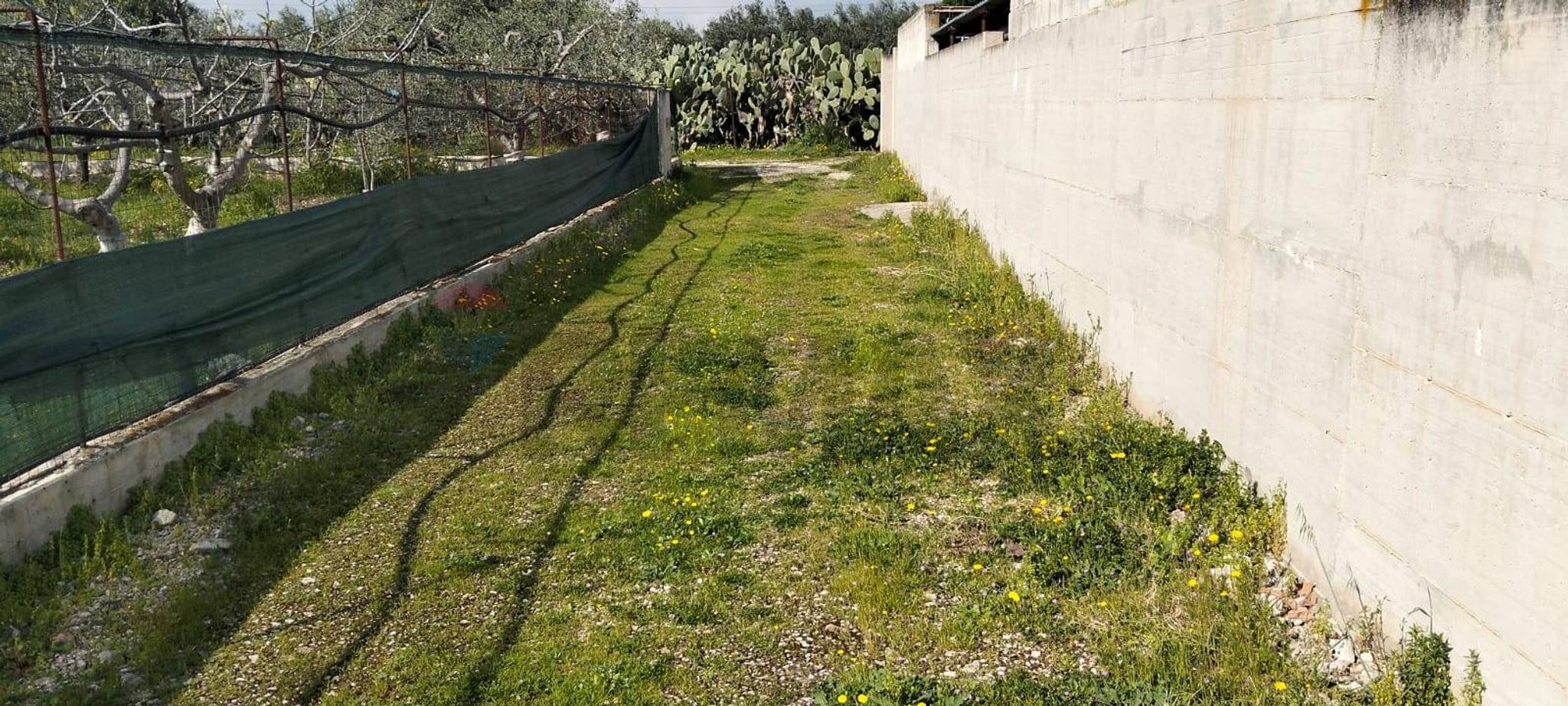 Giardino