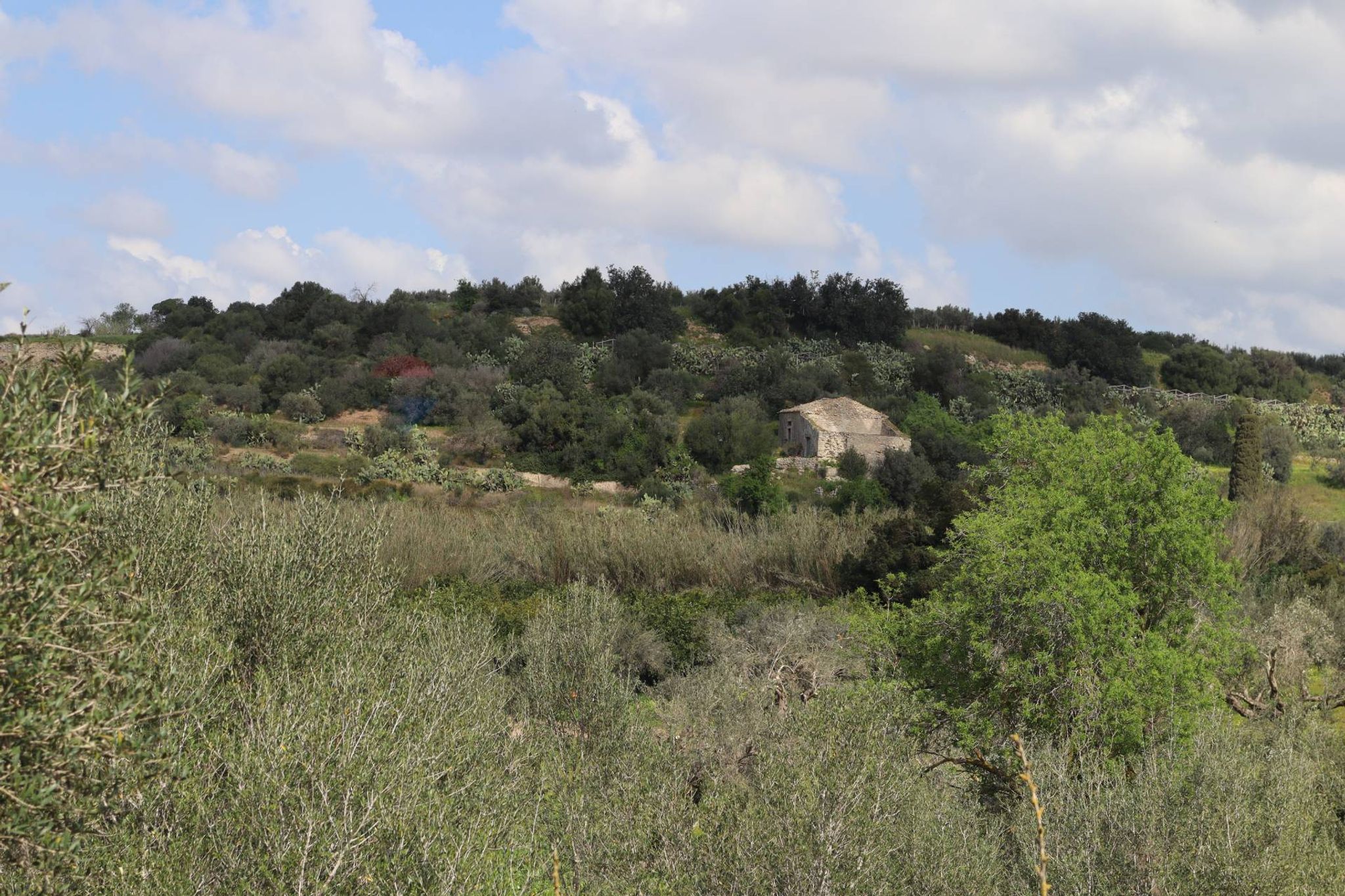 Vista delle montagne