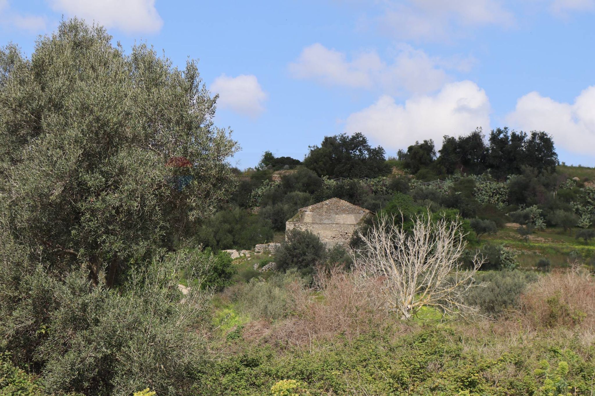 Vista delle montagne