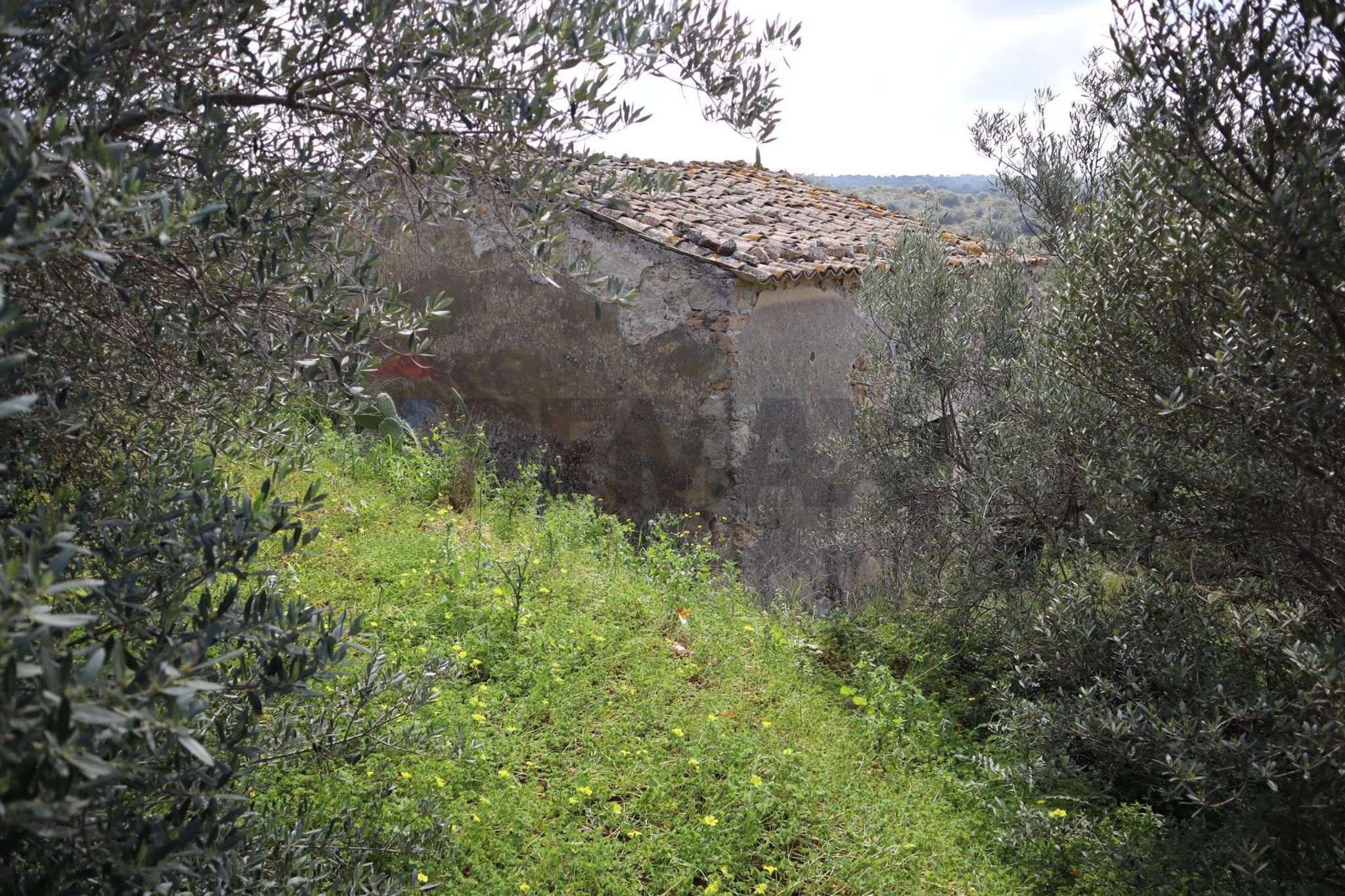 Vista delle montagne