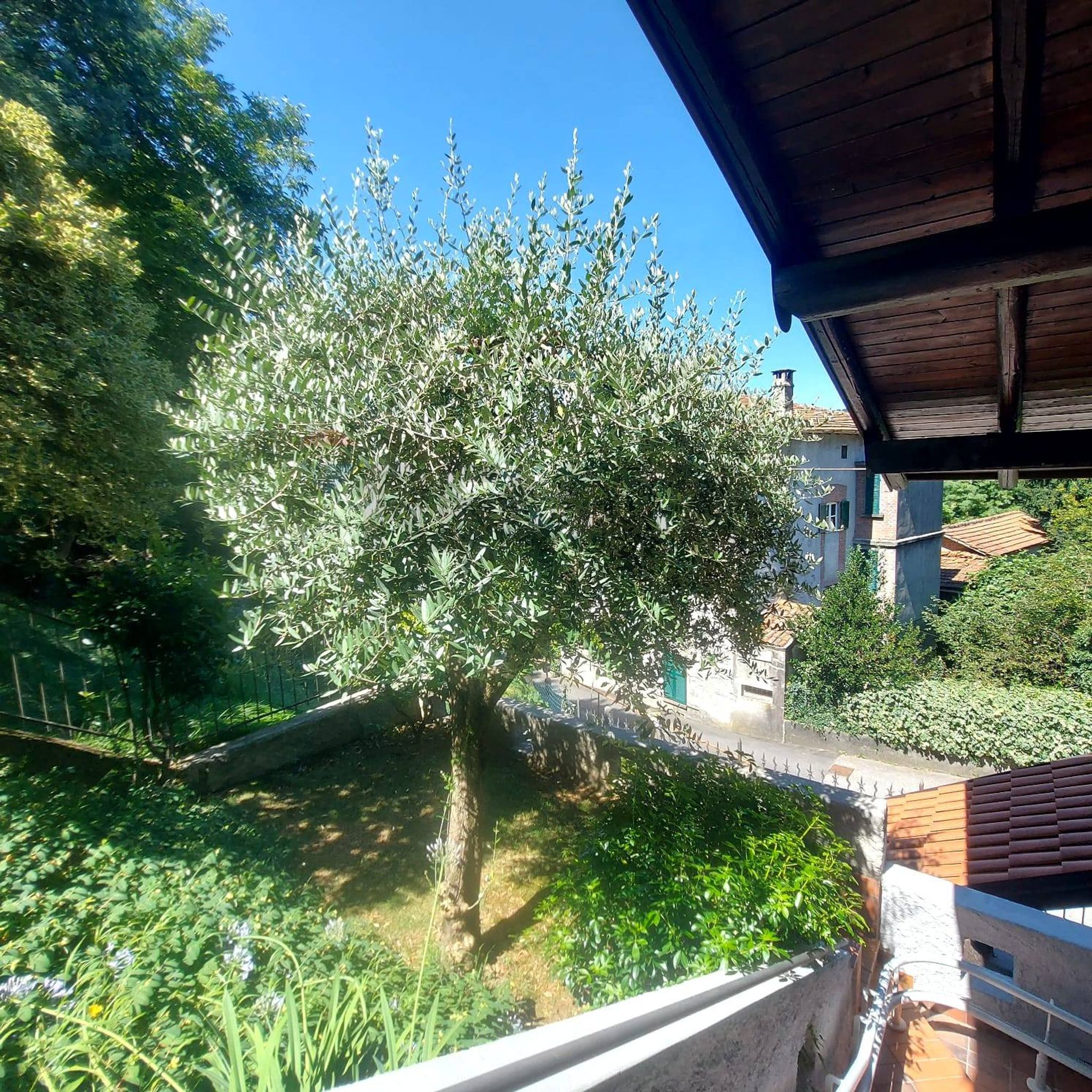 Giardino