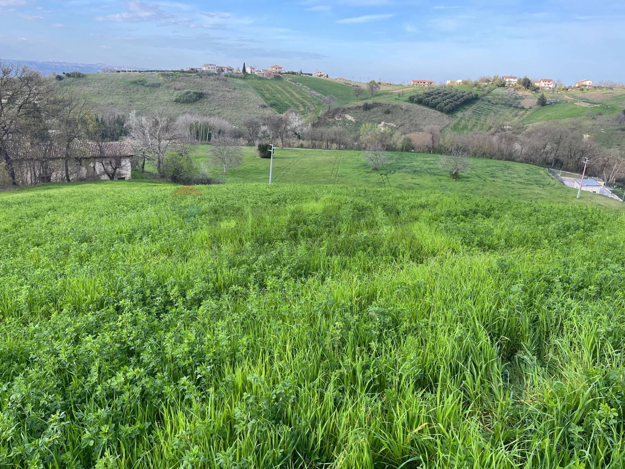 Vista delle montagne