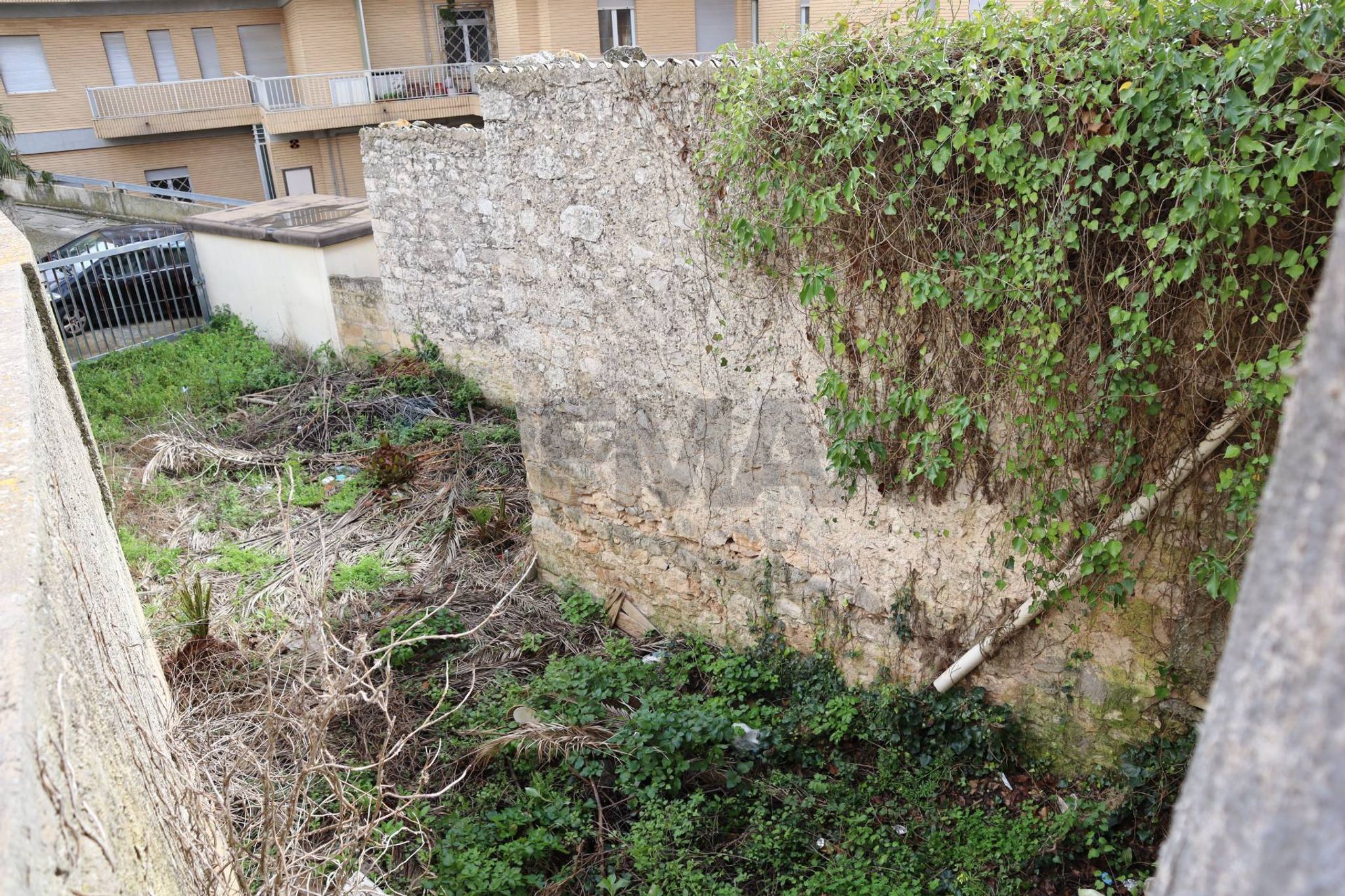 Giardino
