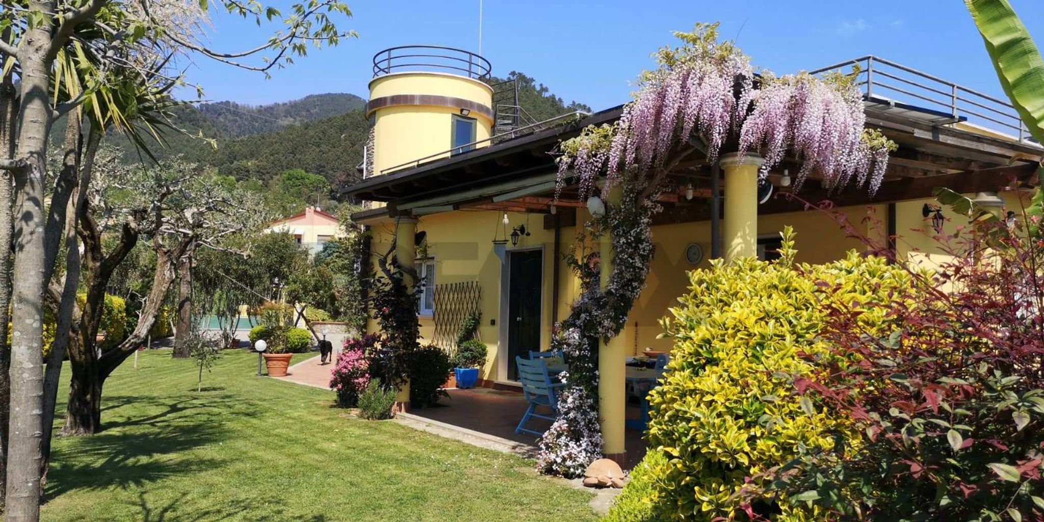Giardino