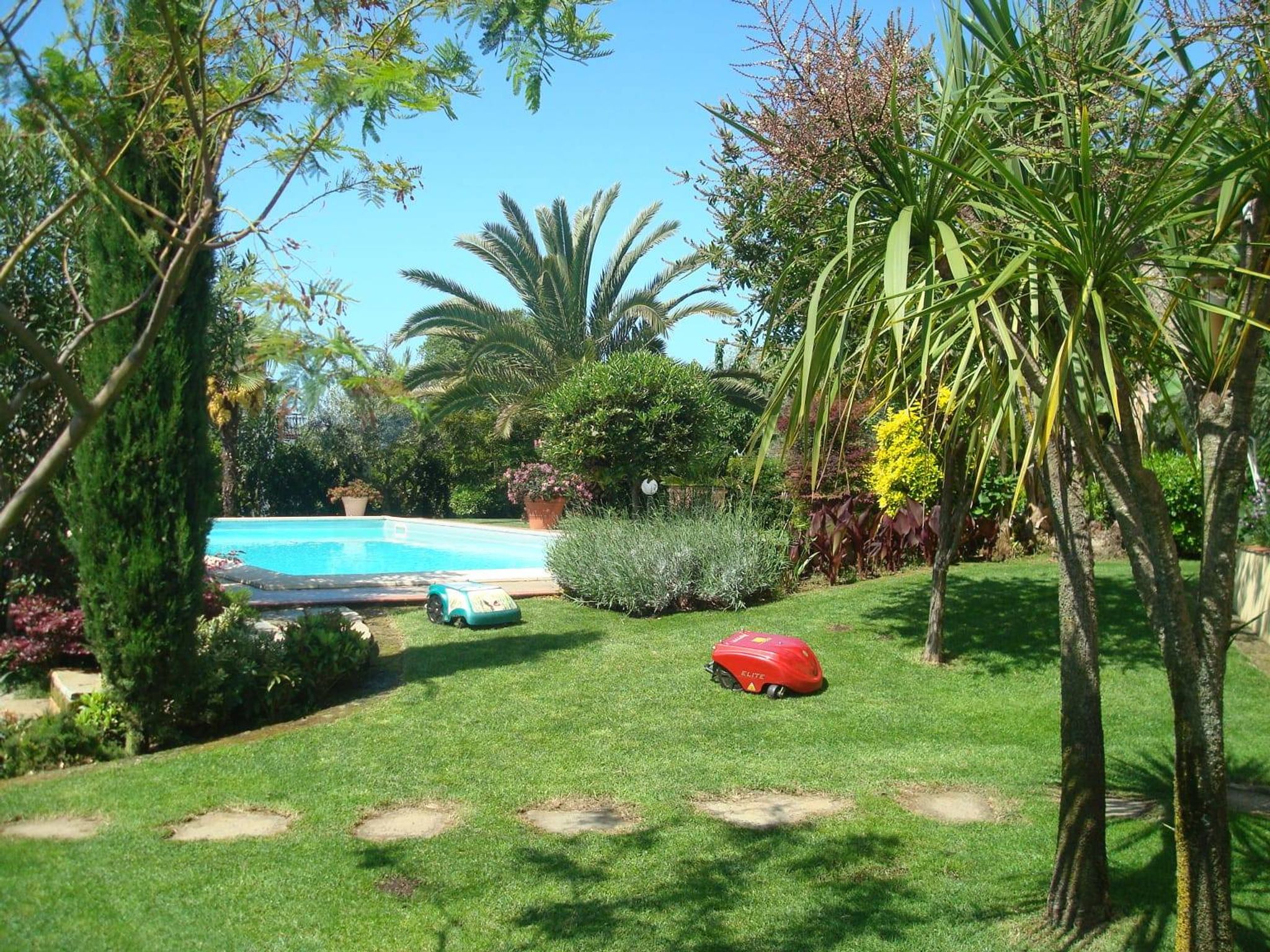 Giardino