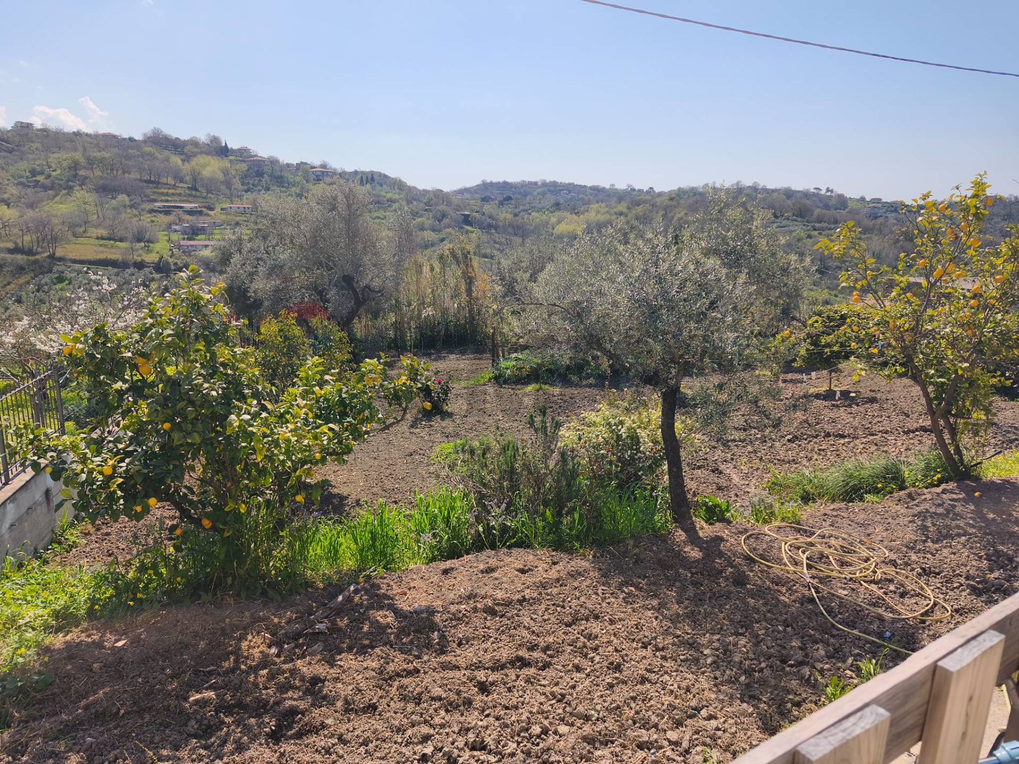 Vista delle montagne