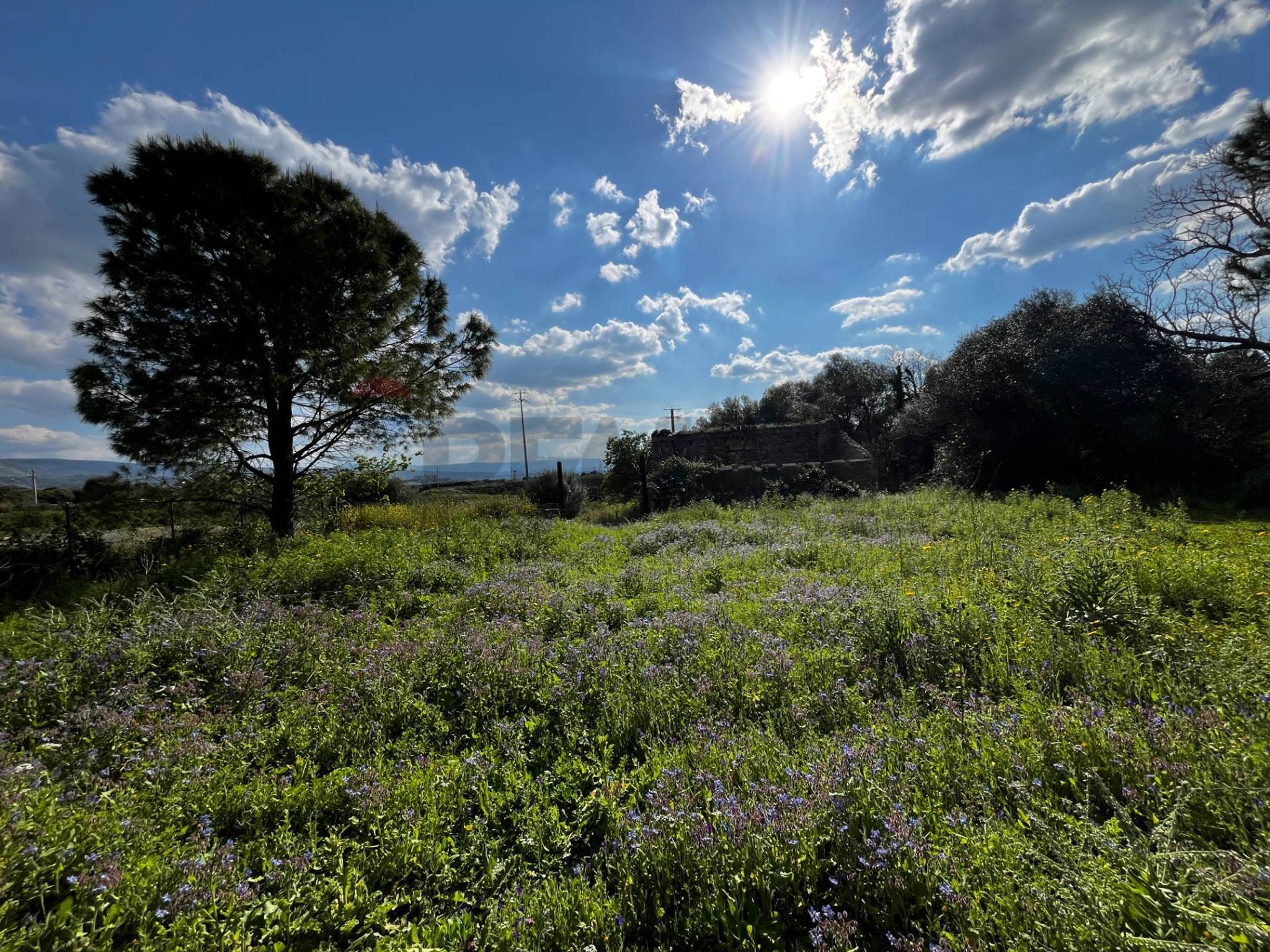 Vista delle montagne