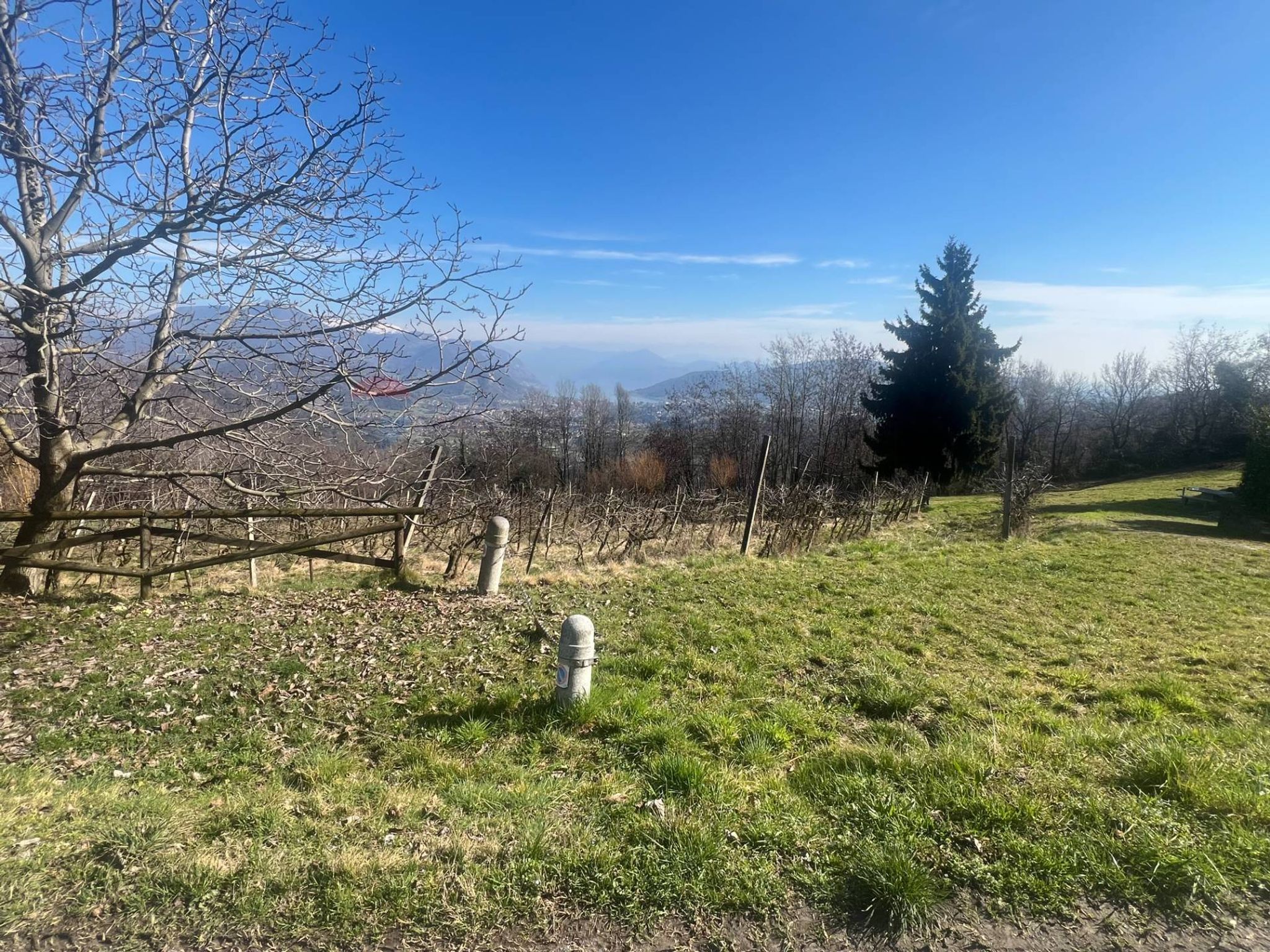Vista delle montagne