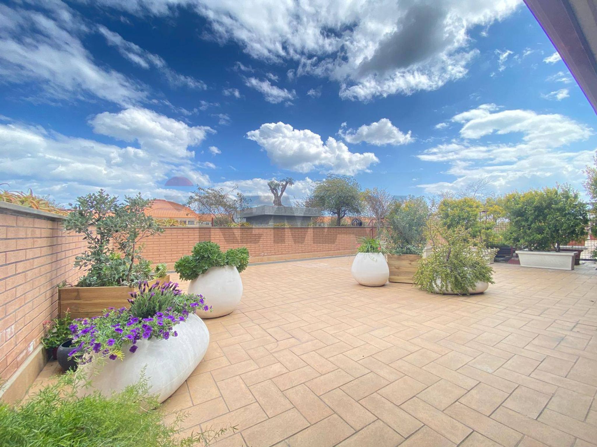 Terrazza