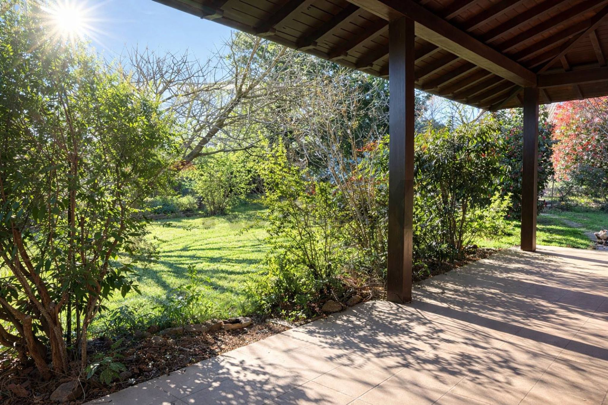 Giardino