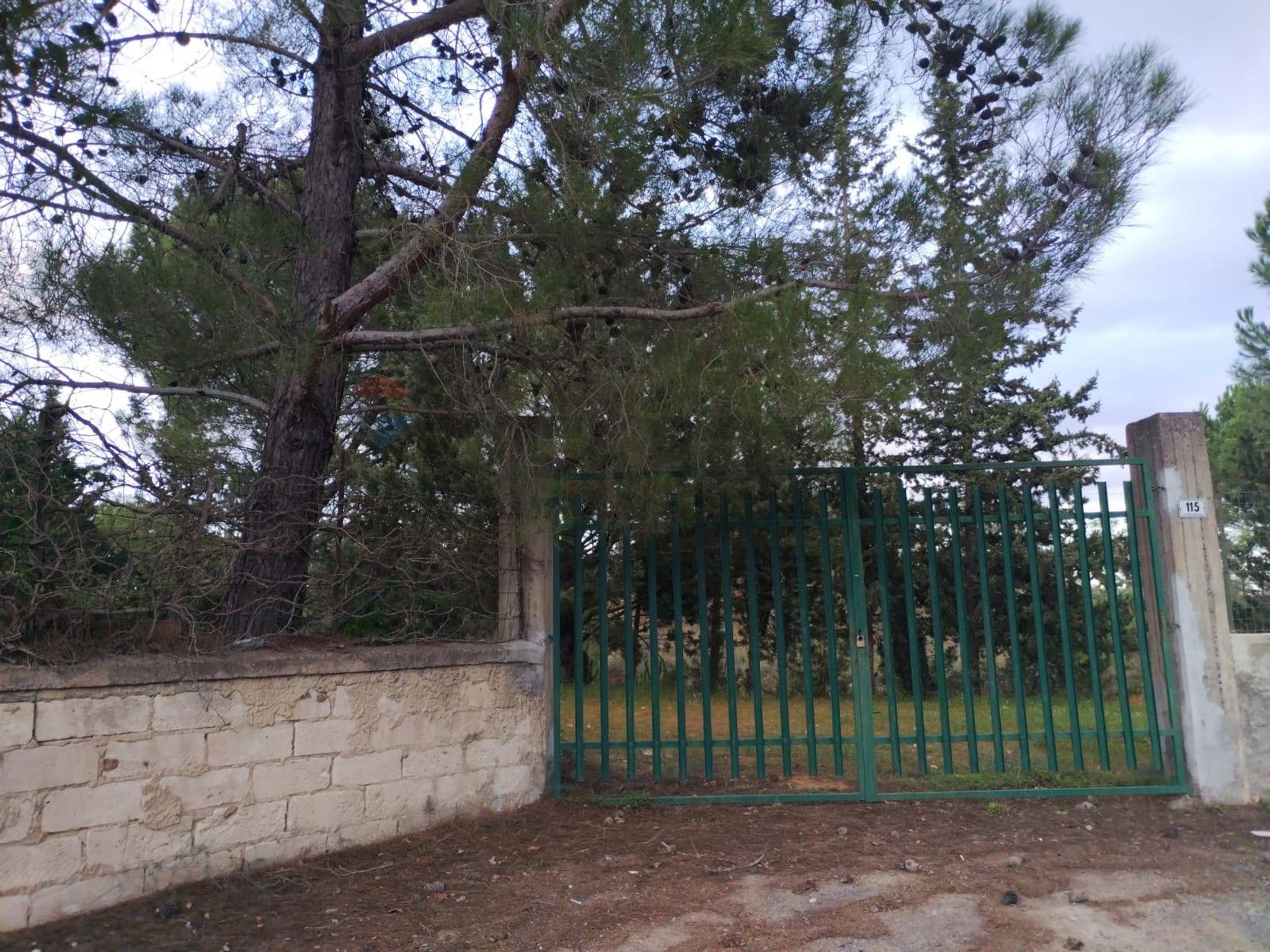 Giardino