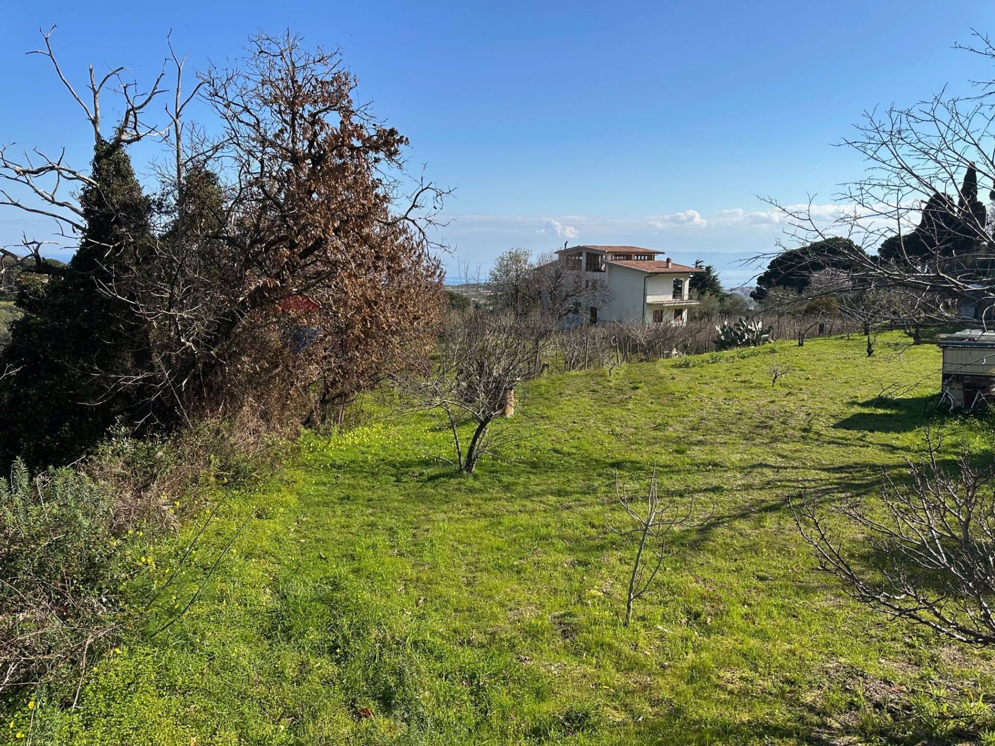 Giardino