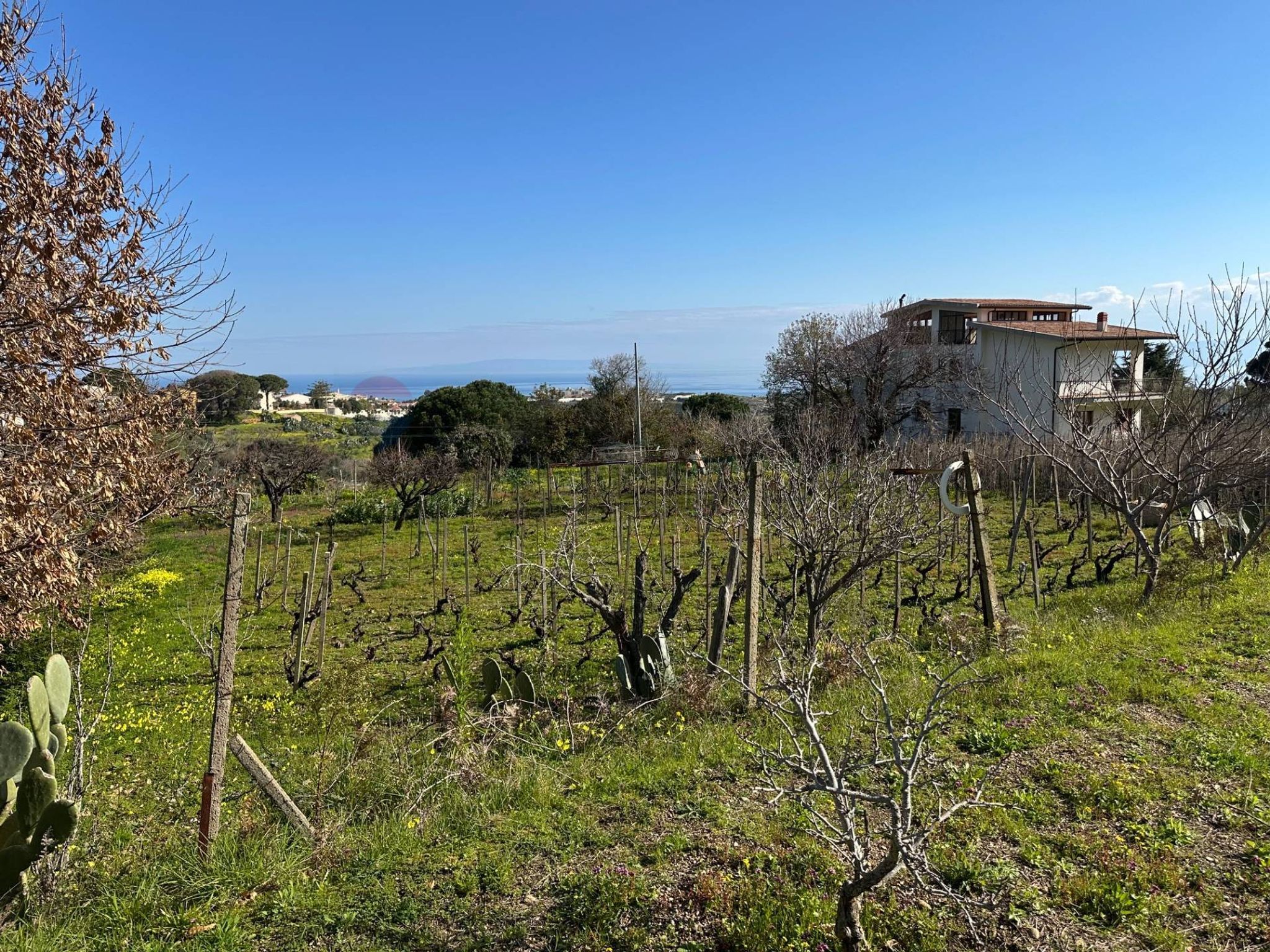 Immobile a Messina