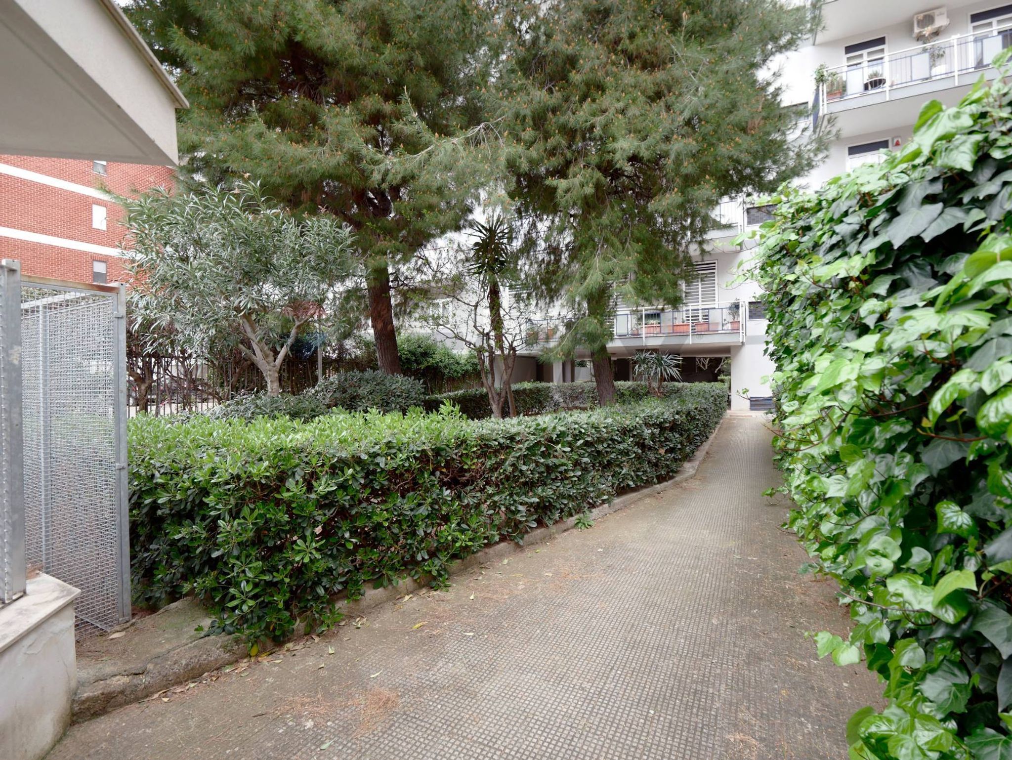 Giardino