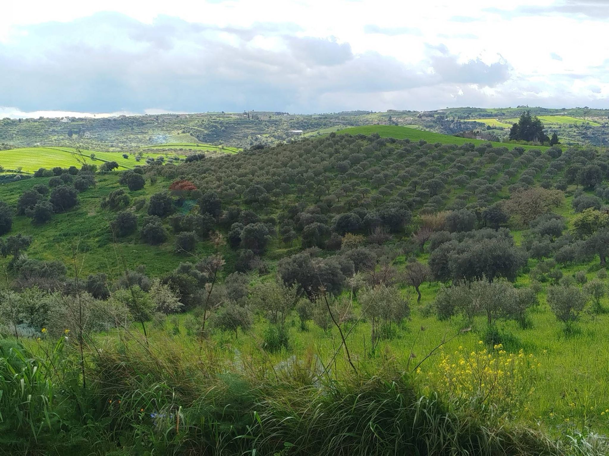 Vista delle montagne