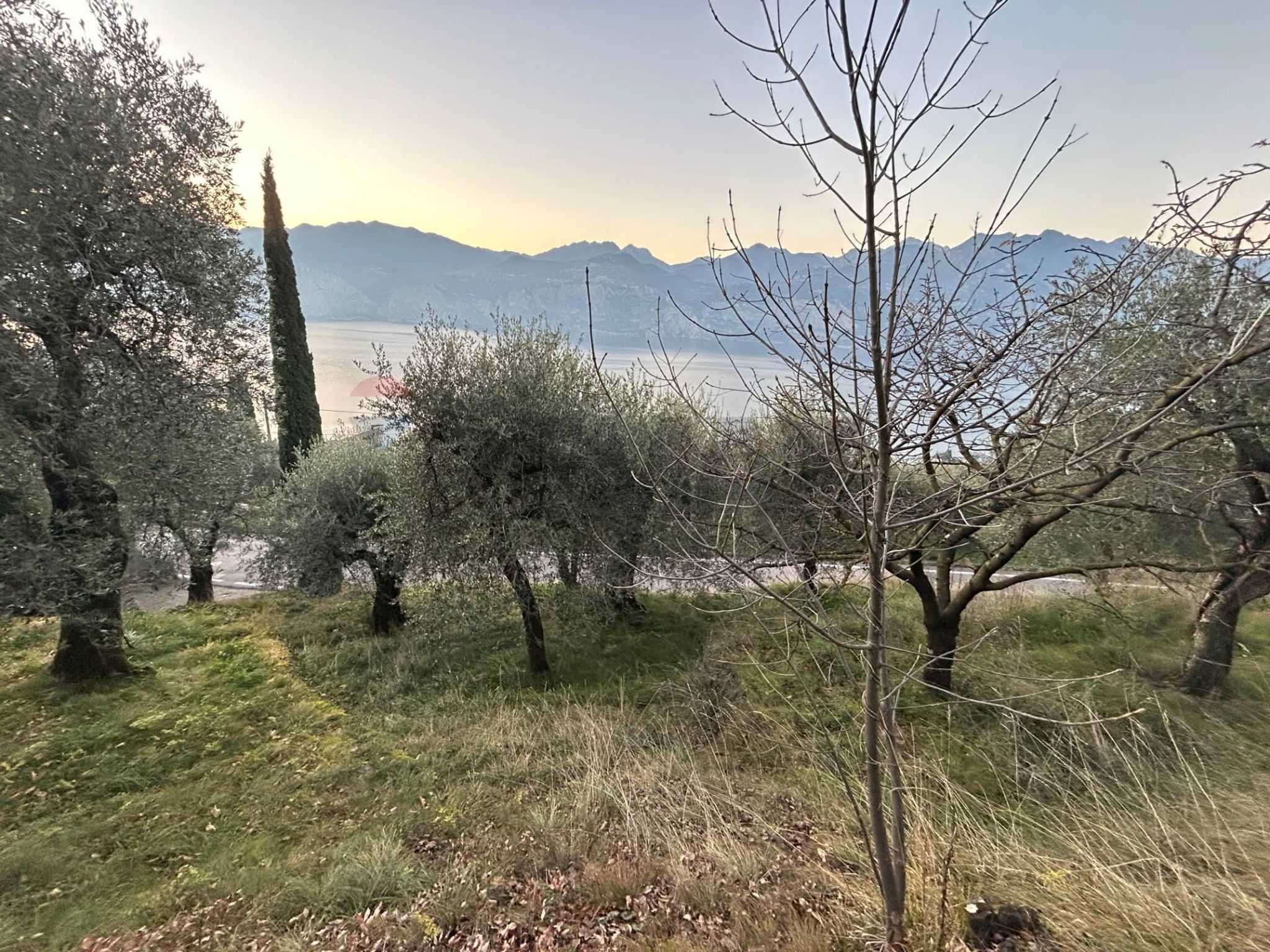 Property in Malcesine