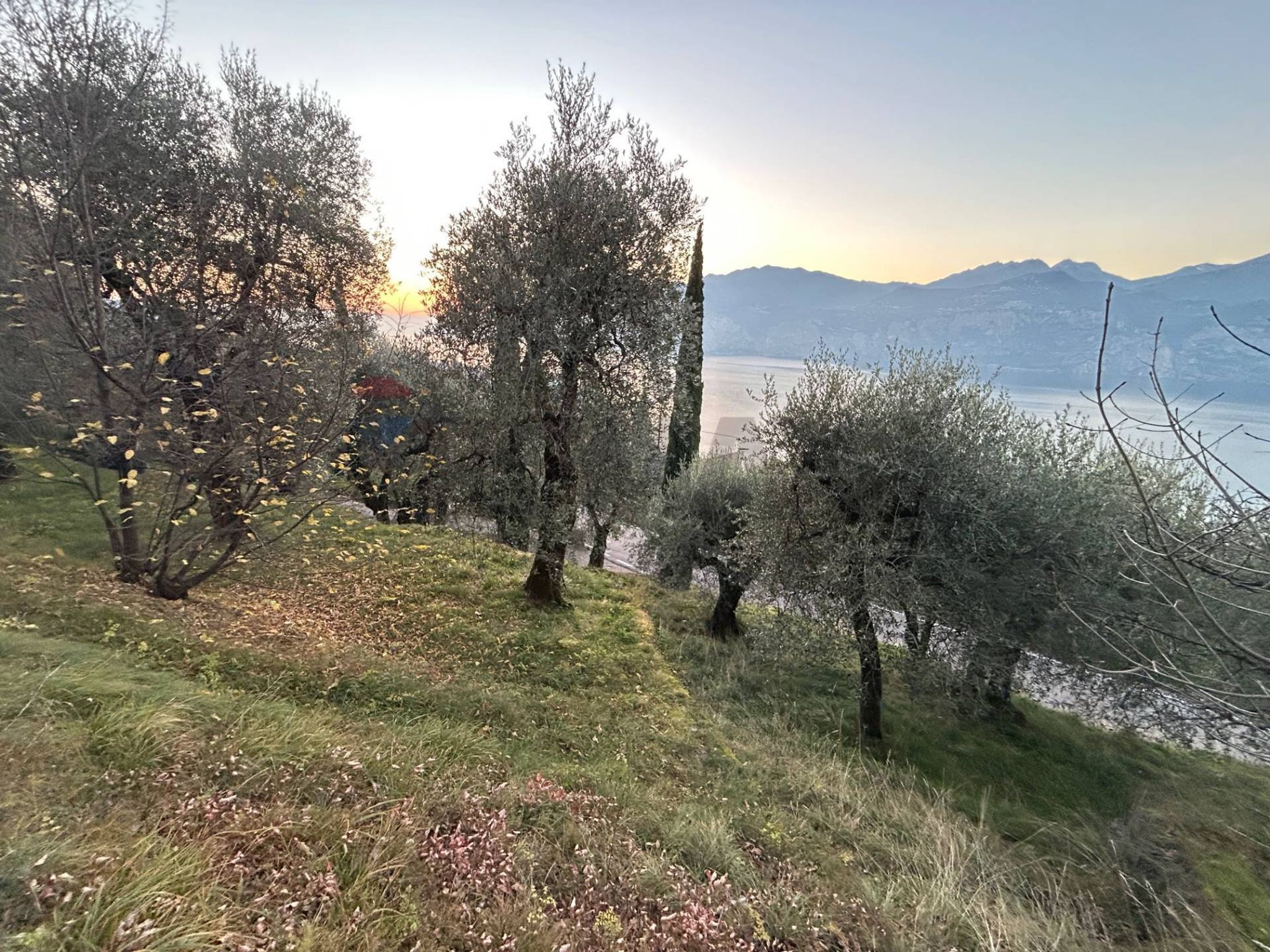 Vista delle montagne