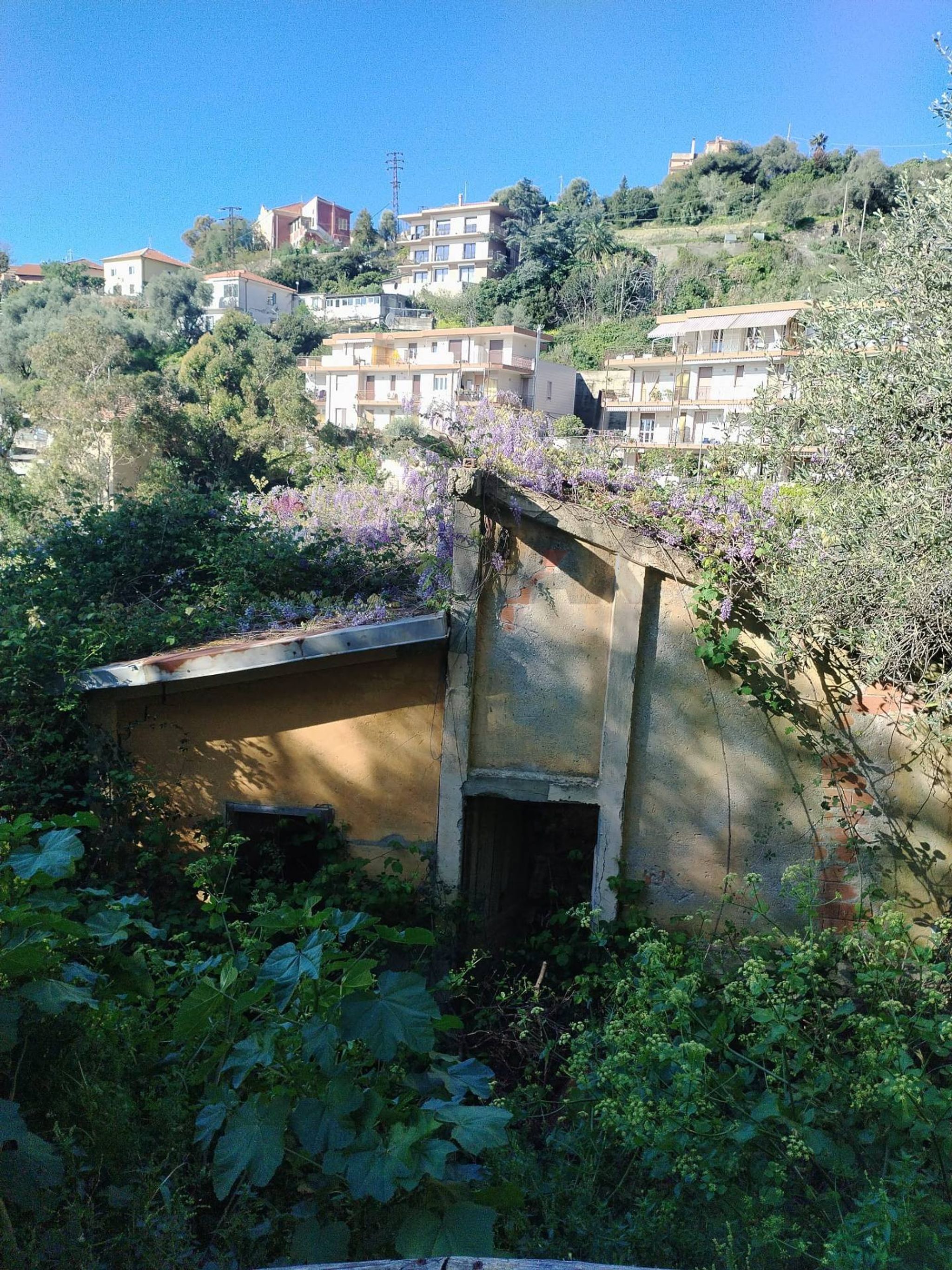 Giardino