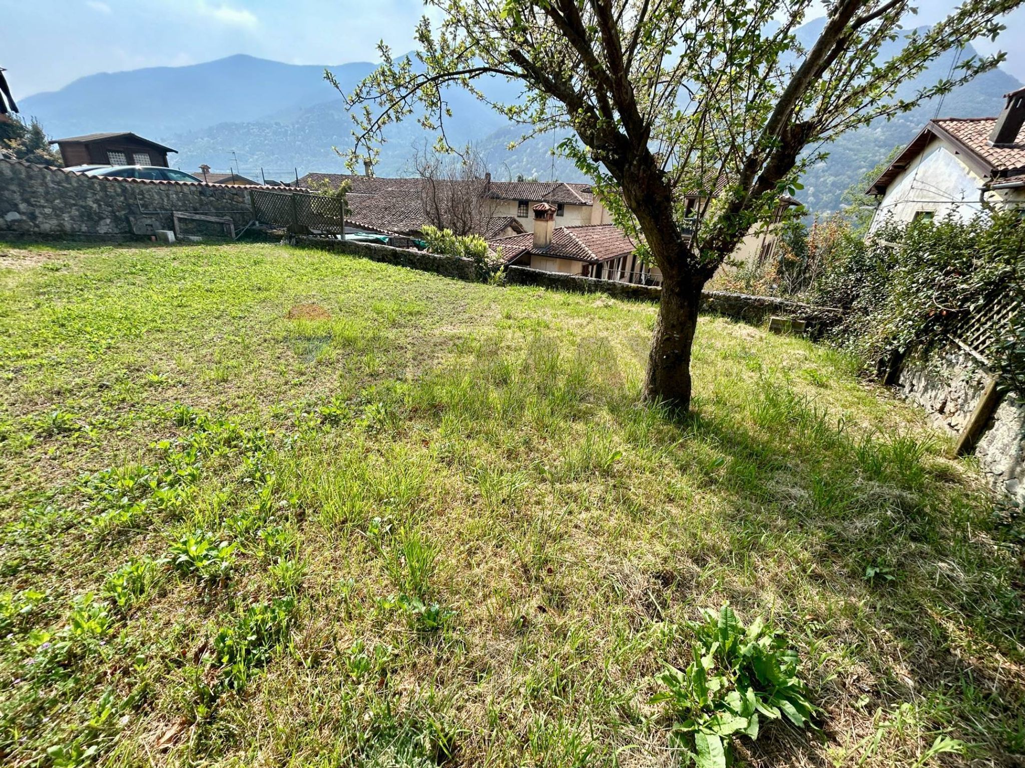 Giardino