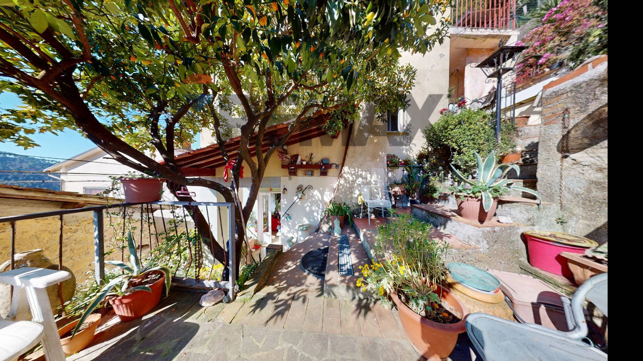 Terrazza