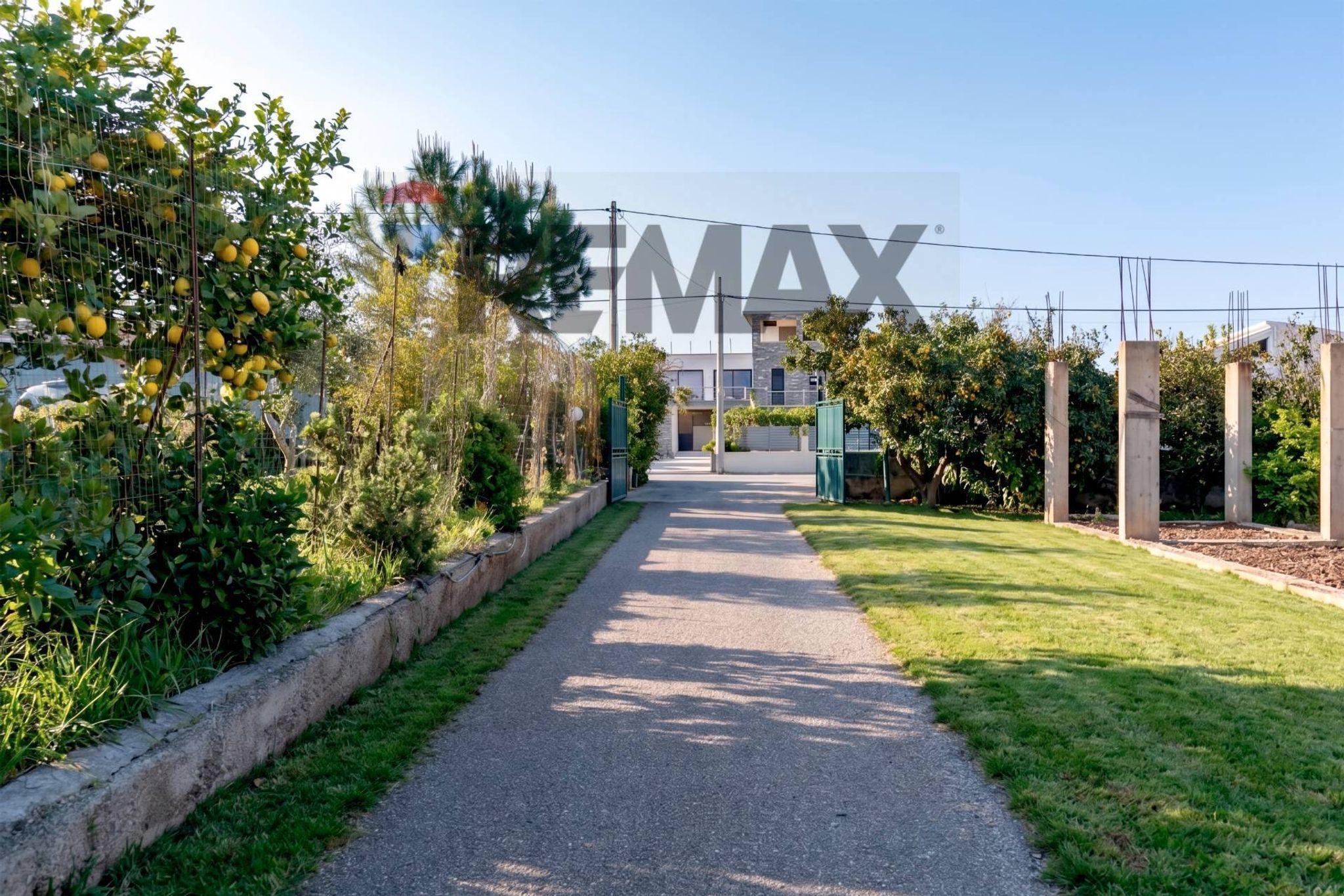 Giardino