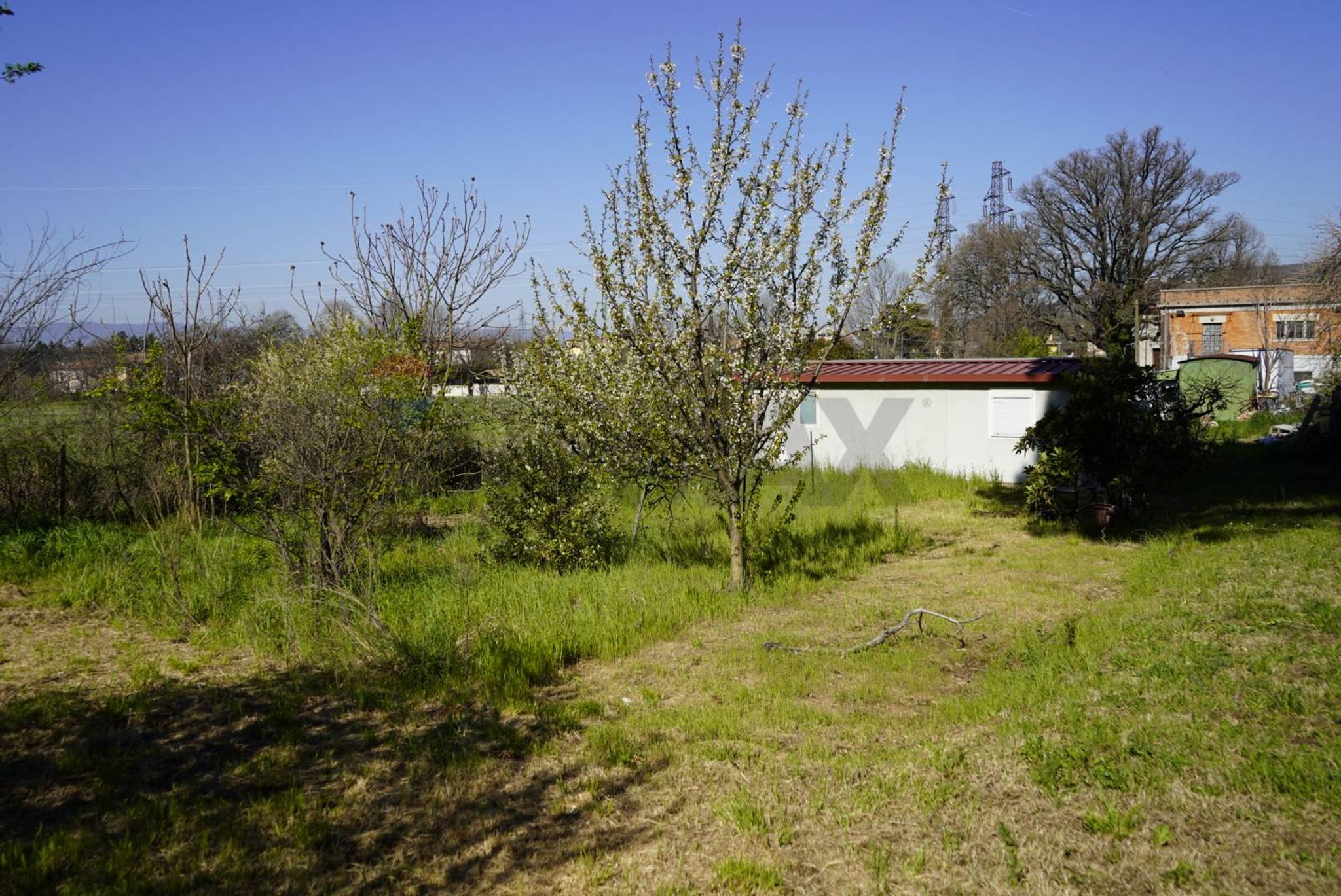 Giardino