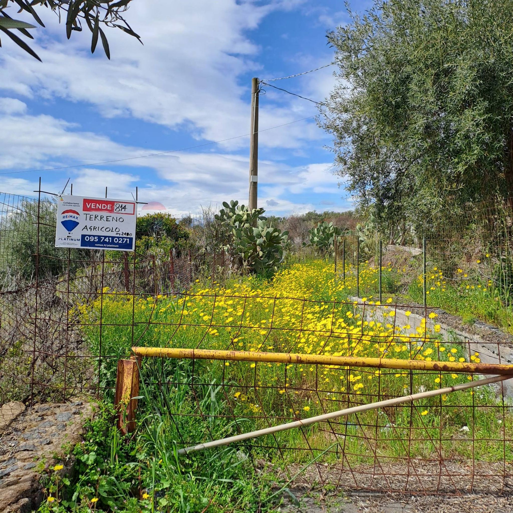 Giardino
