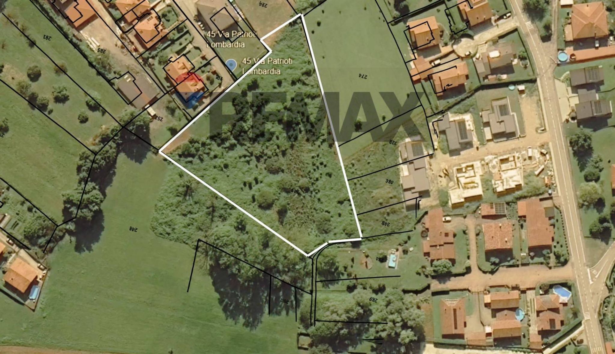 Foto 2